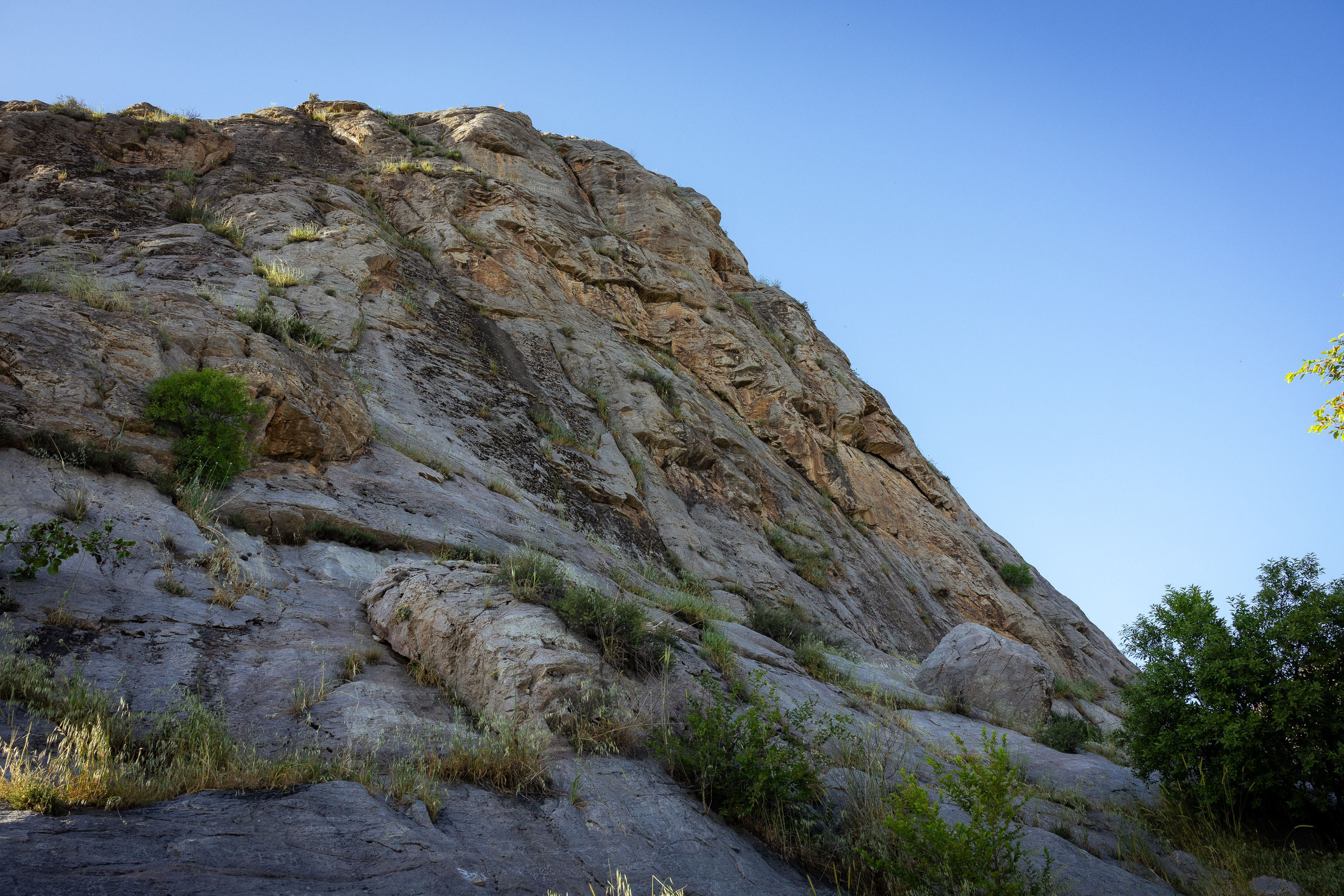 Кыргызстан (весна 2025). Фотограф Виноградов Константин