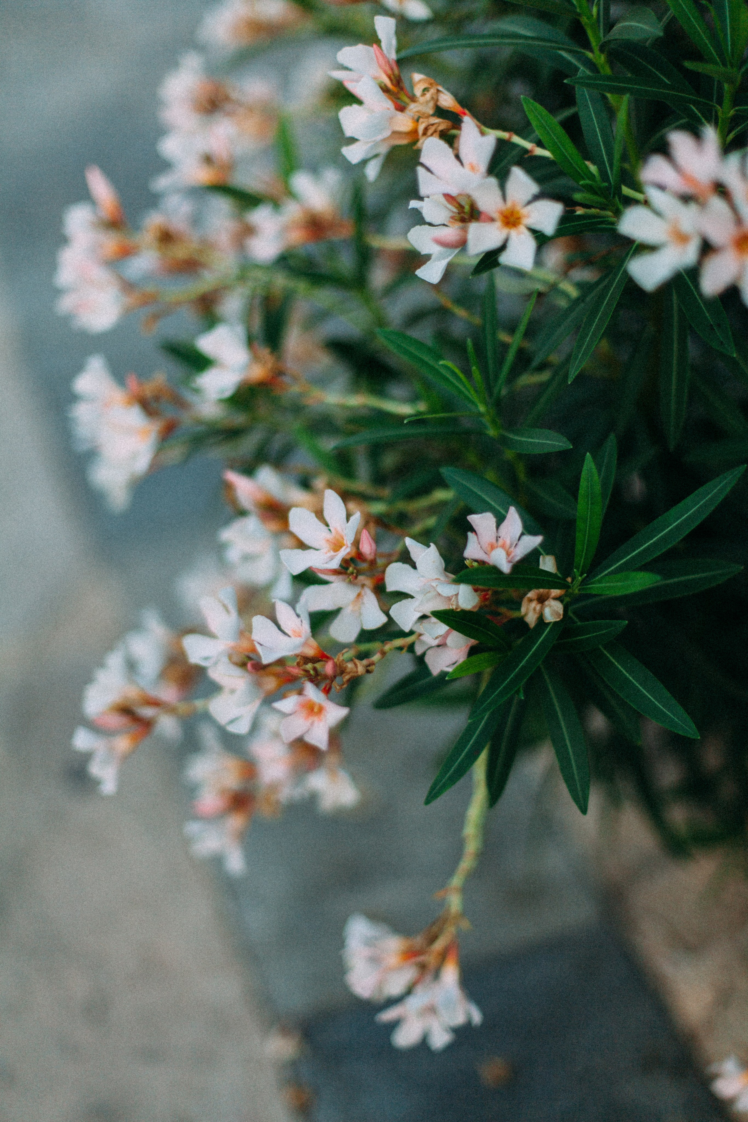 Кипр. Аня Степанова