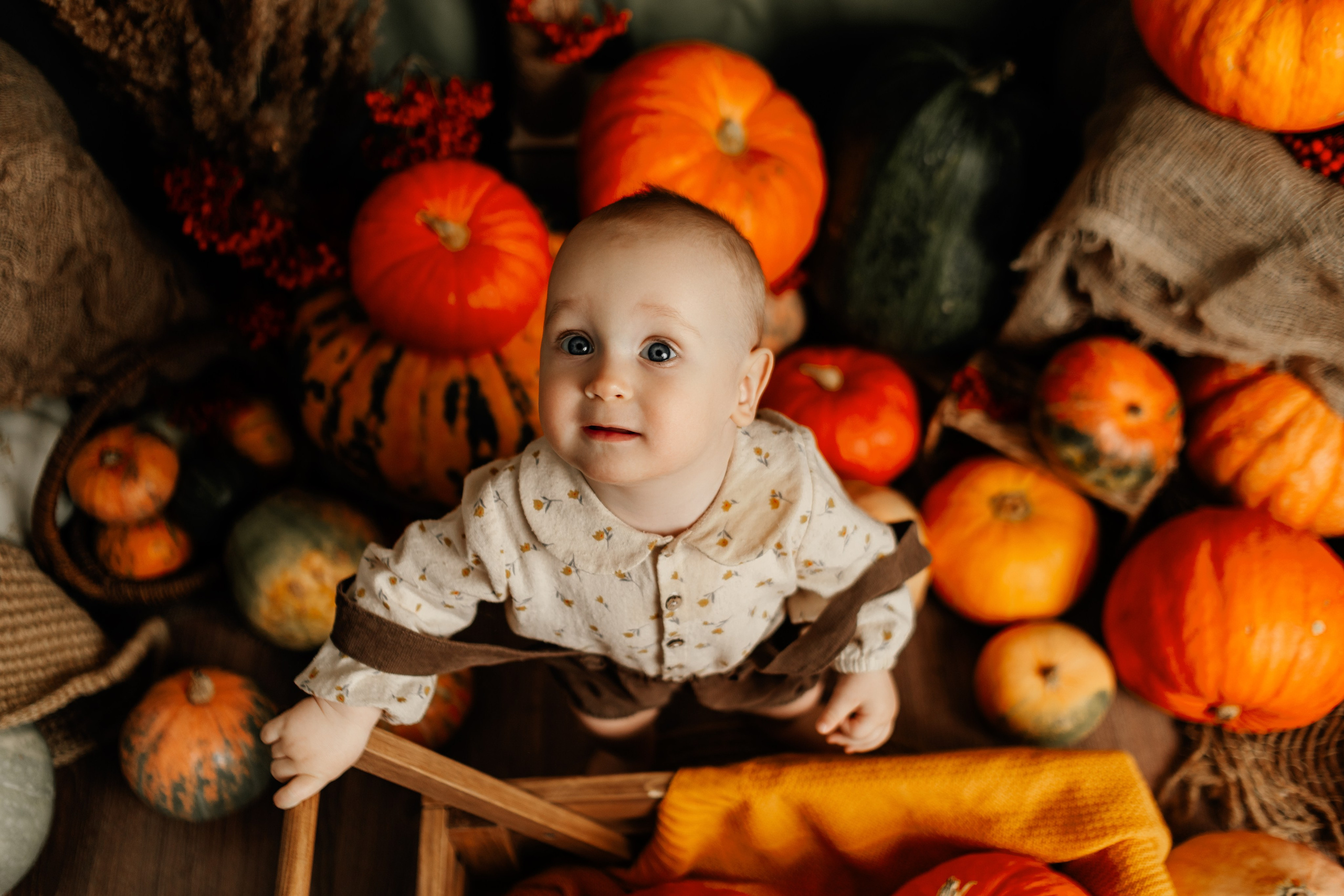 Фотопроекты. Фотограф новорождённых семейный фотограф Томск Елена Каплина