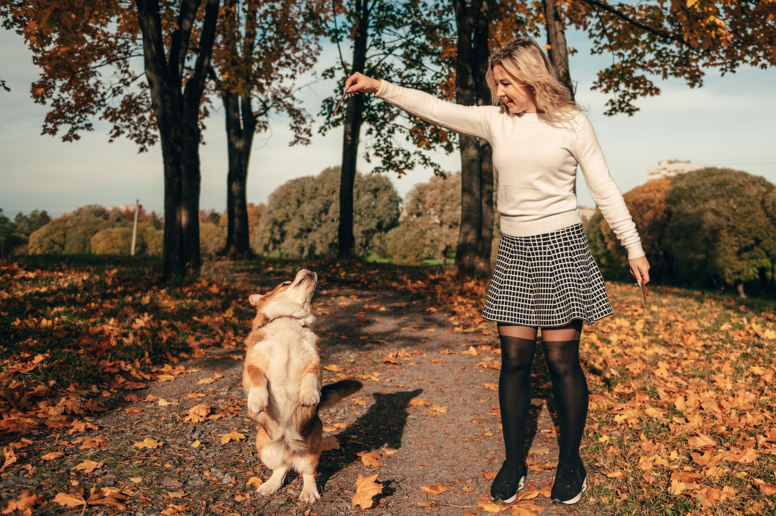 Все краски осени. Свадебный и семейный фотограф София Невская