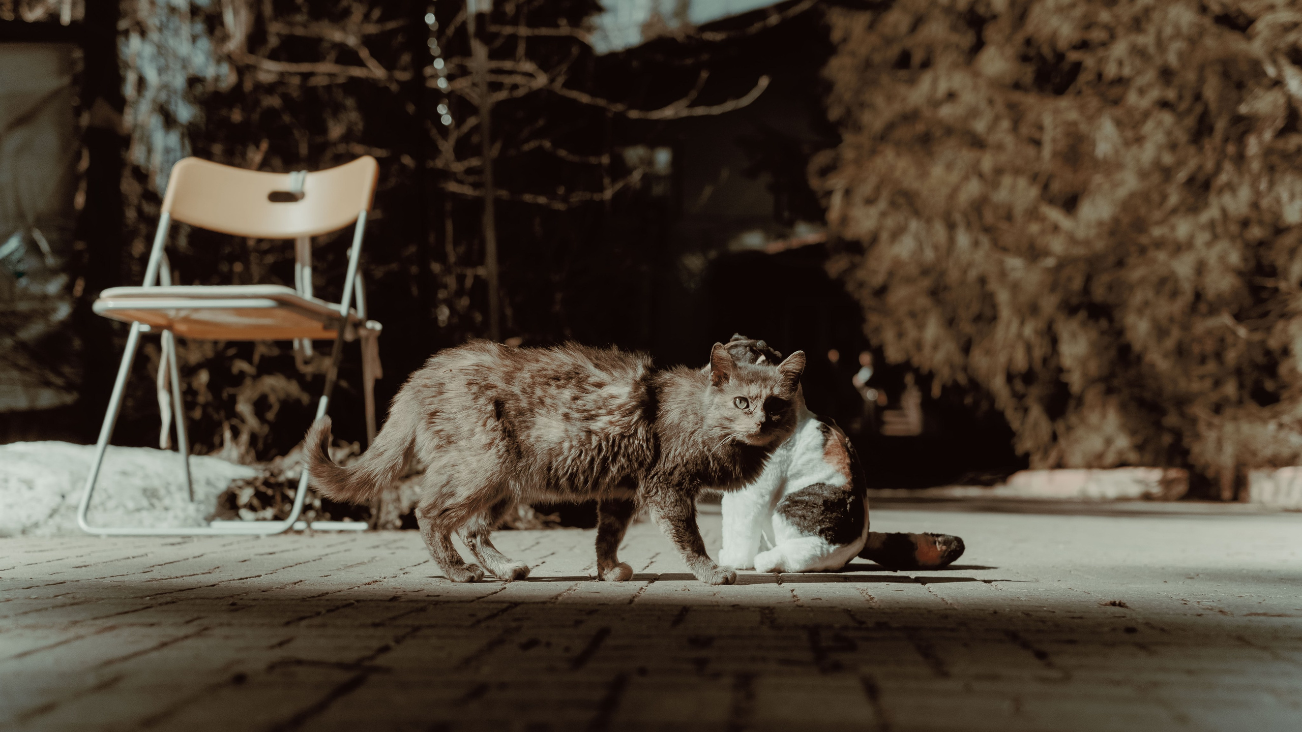 «Осколки и витражи» | Хогвартские сезоны. Фотограф Аннё| Москва