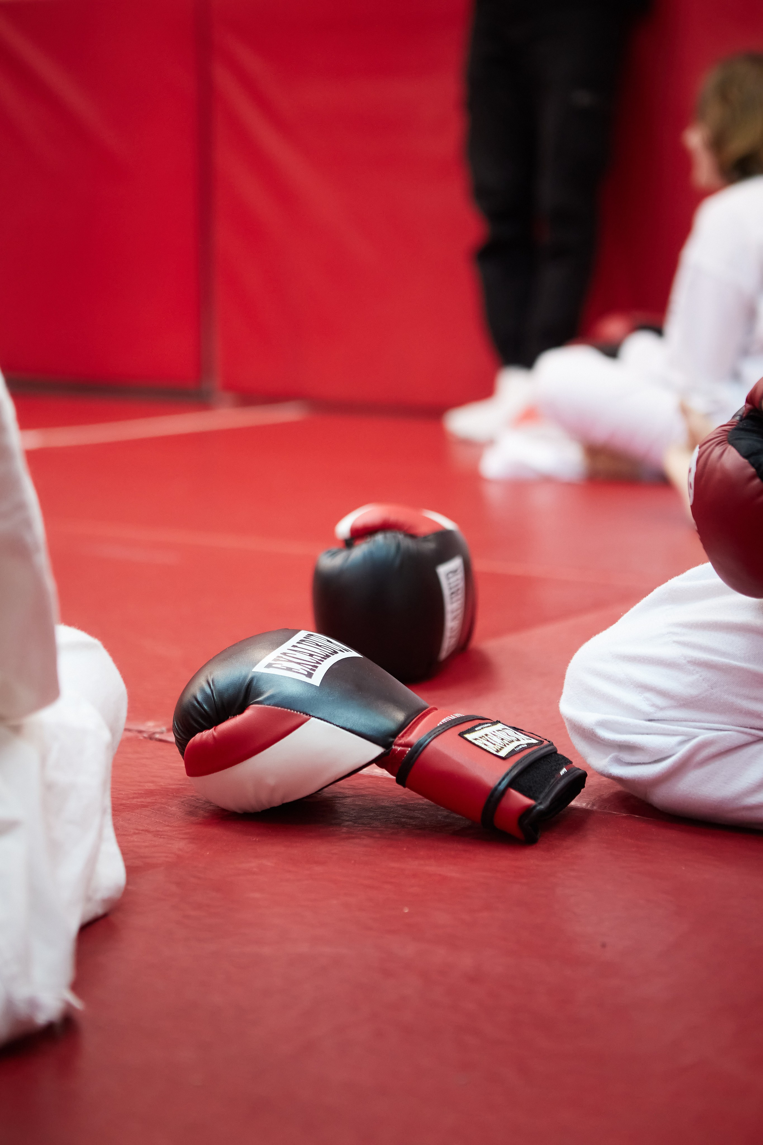 Рукопашный бой. Открытый ковёр. Светлана Родионова — фотограф спортивный и не только