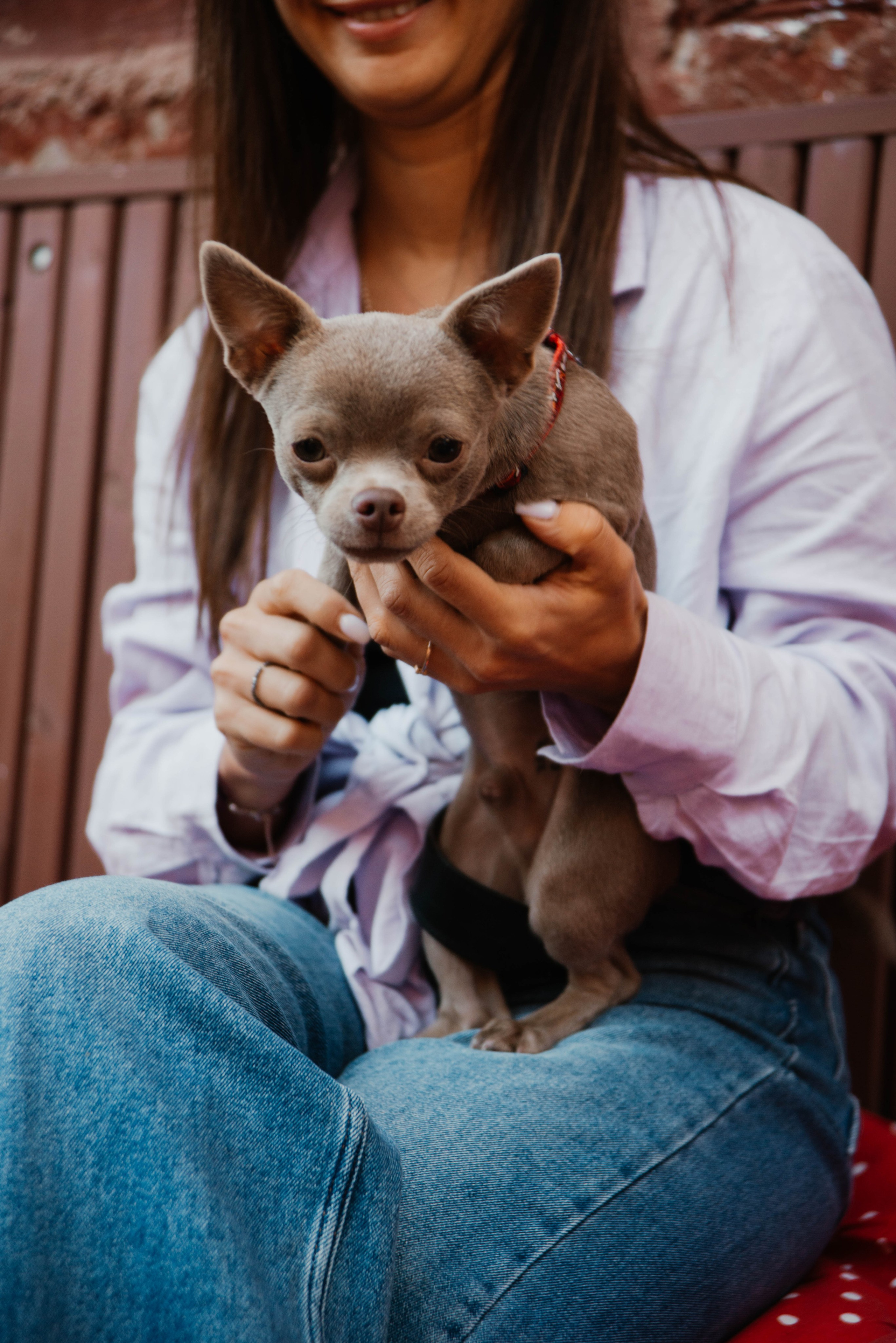 Дог-вечеринка на летнике «Кутёж». Ксения Glossa. Портретный и репортажный фотограф в Самаре
