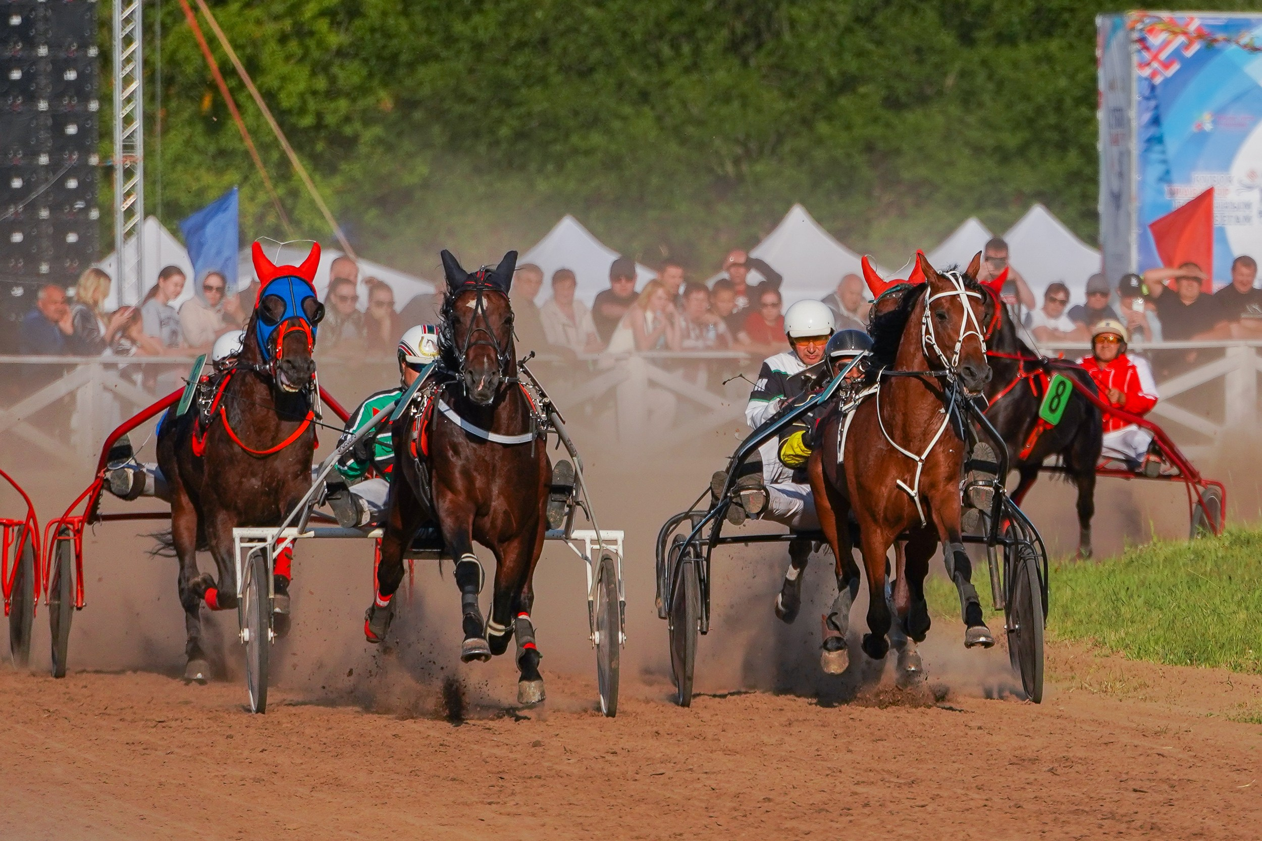 III конные бега на Кубок Главы Чувашии. Фотограф-анималист, портретный фотограф в Чебоксарах Мария Садыкова