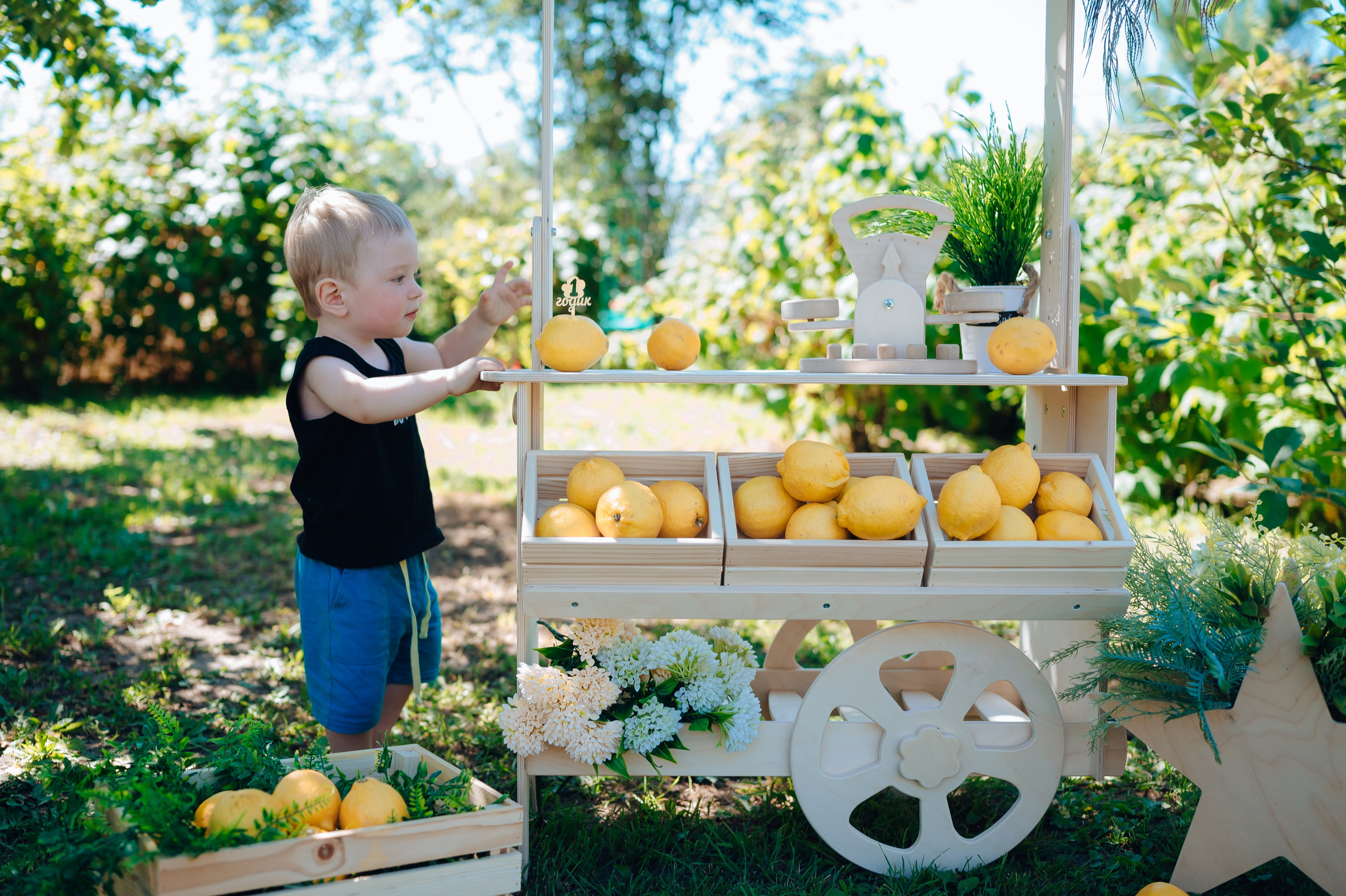 Ромашка. Детский и семейный фотограф Катерина Мишина