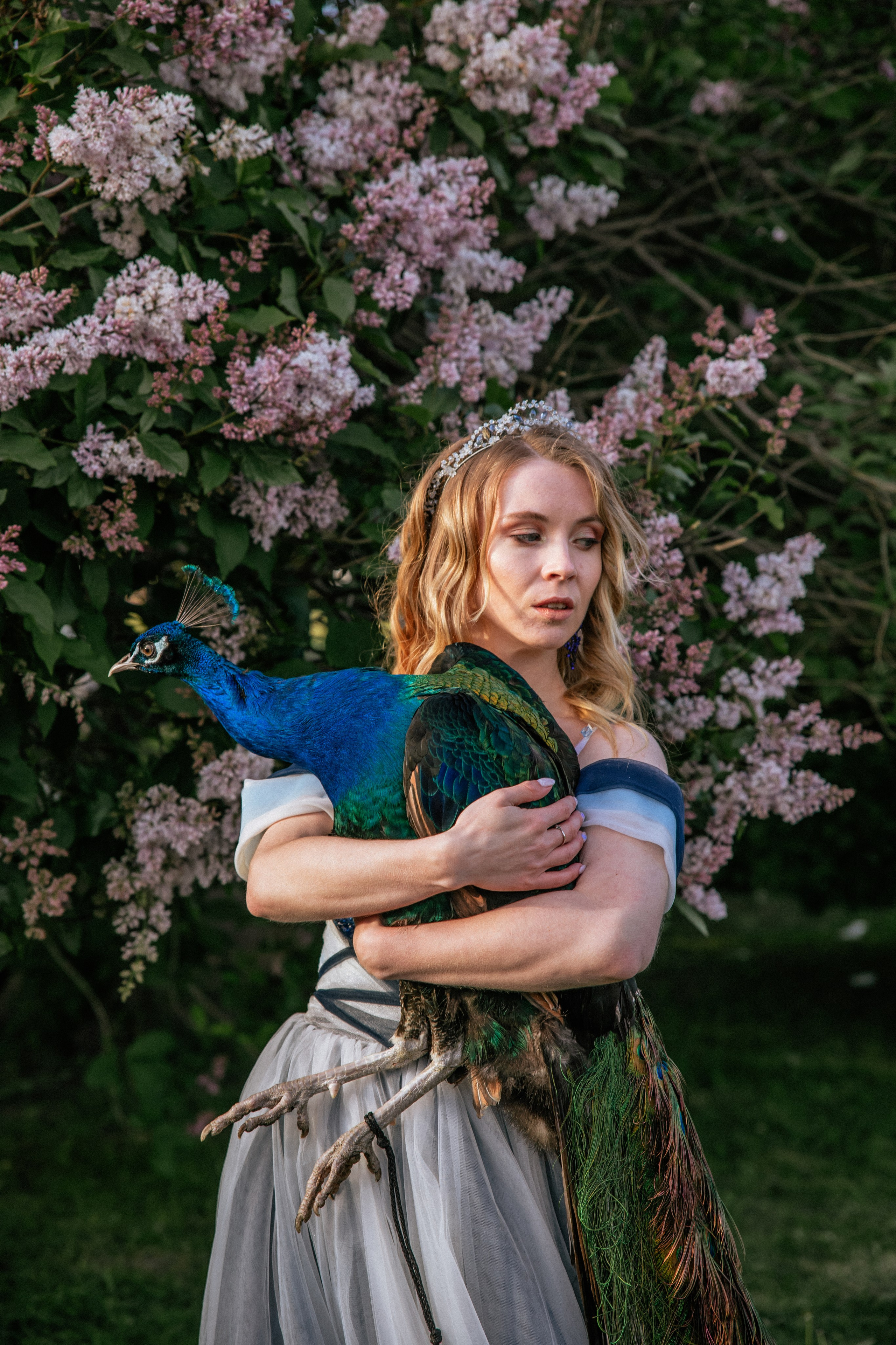 Павлин. Elena Sova — семейный и женский фотограф в Санкт-Петербурге