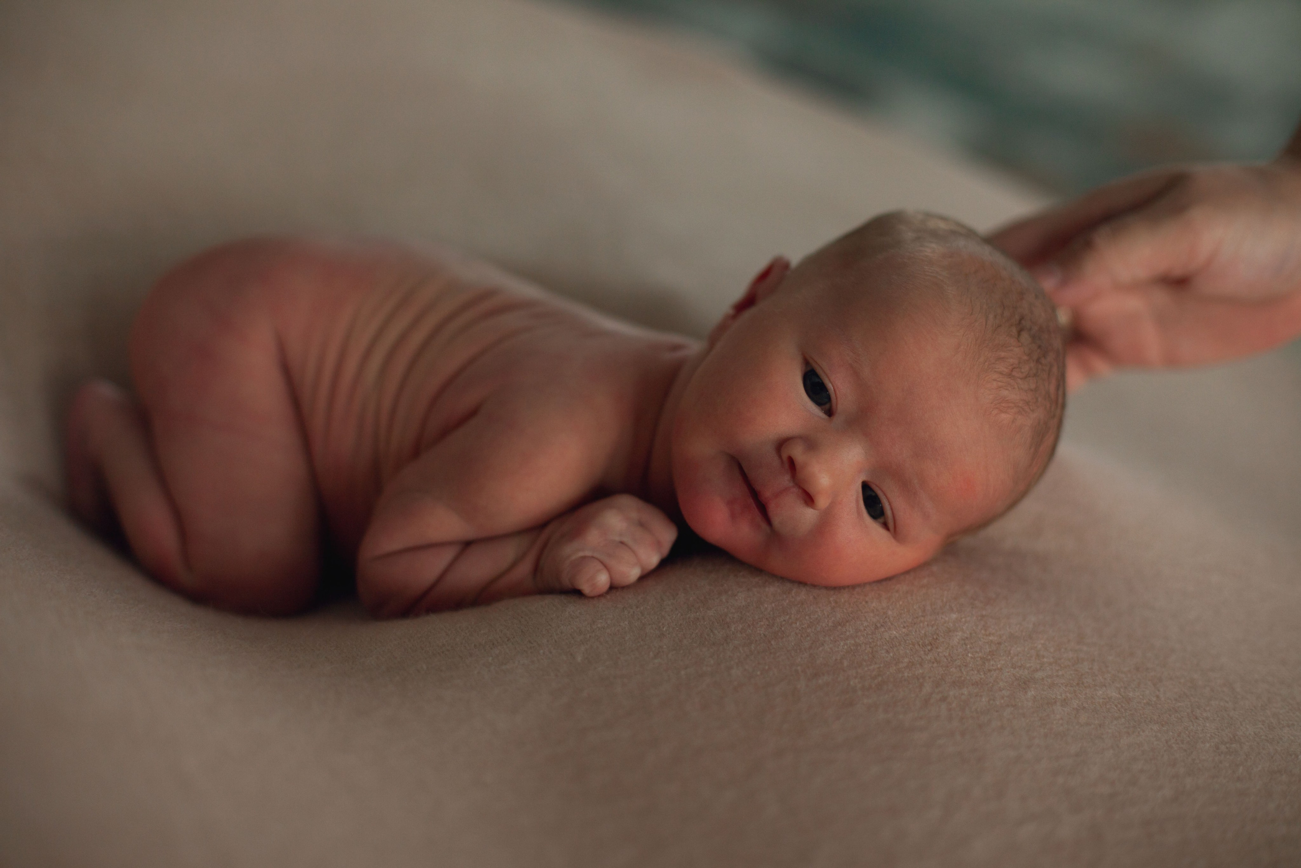 Ньюборн. Семейный фотограф в Москве Румянцева Елена