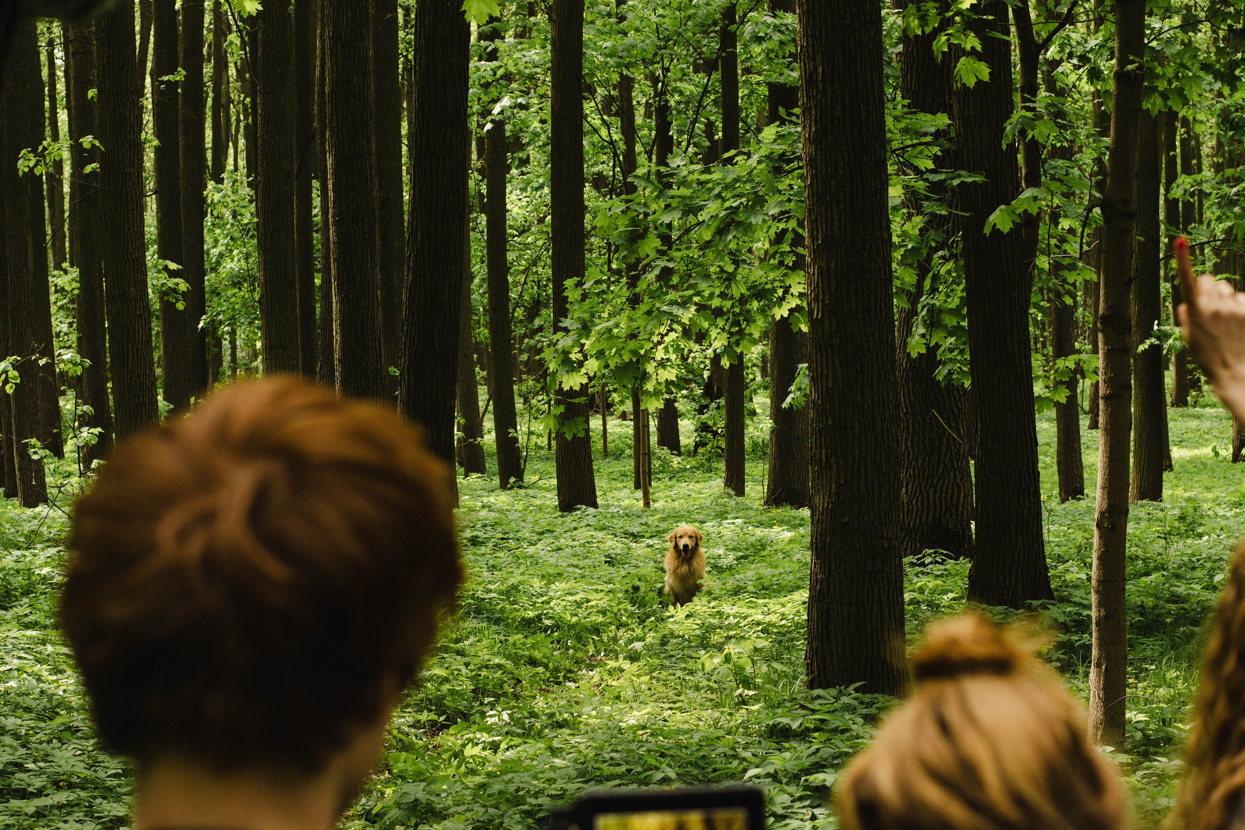 К/Ф «Надежда». Фотограф в Москве Ксюшенька