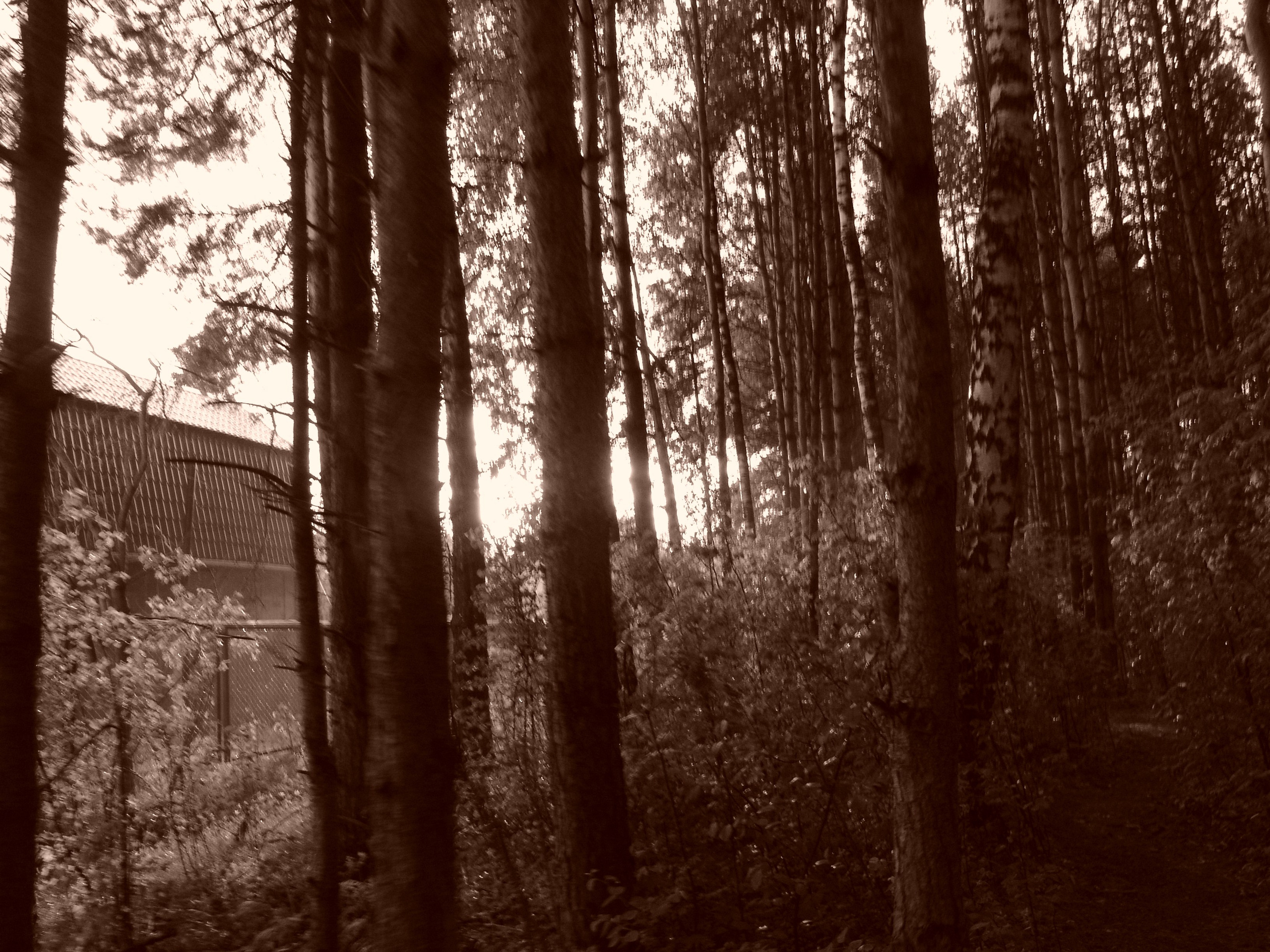 Приезд КС 2005. Заставка