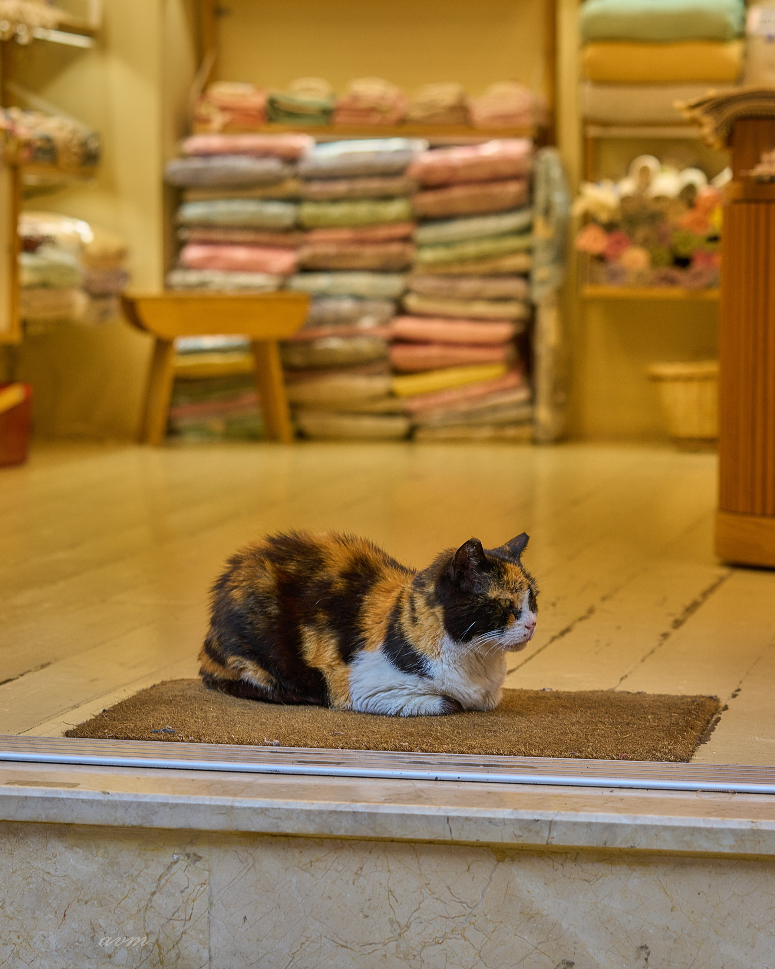 Стамбул 2023. Фотограф Михеев Андрей