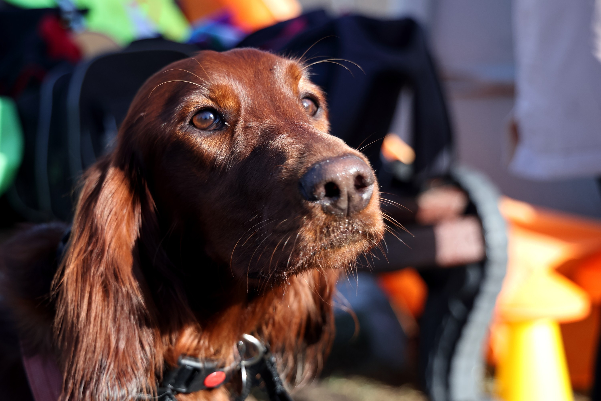 5 Верст. Коломенское (#203). Спортивный и репортажный фотограф Ермакова Светлана