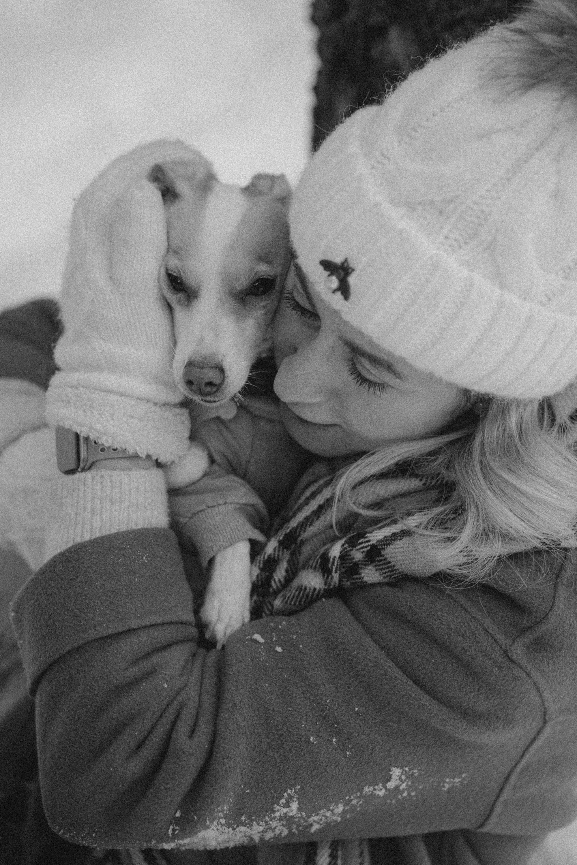 Алина, Ваниль и Элис. Фотограф анималист в Москве и Санкт-Петербурге Свиридова Анна