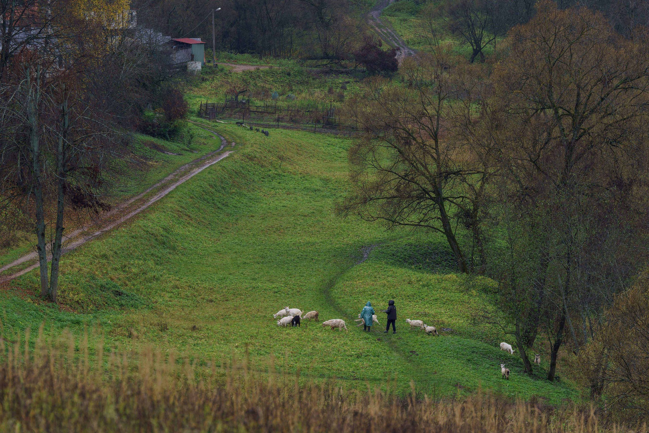 Фотографии Трейл Кутузов 2025. Фотограф спортивные события, недвижимость, турбизнес