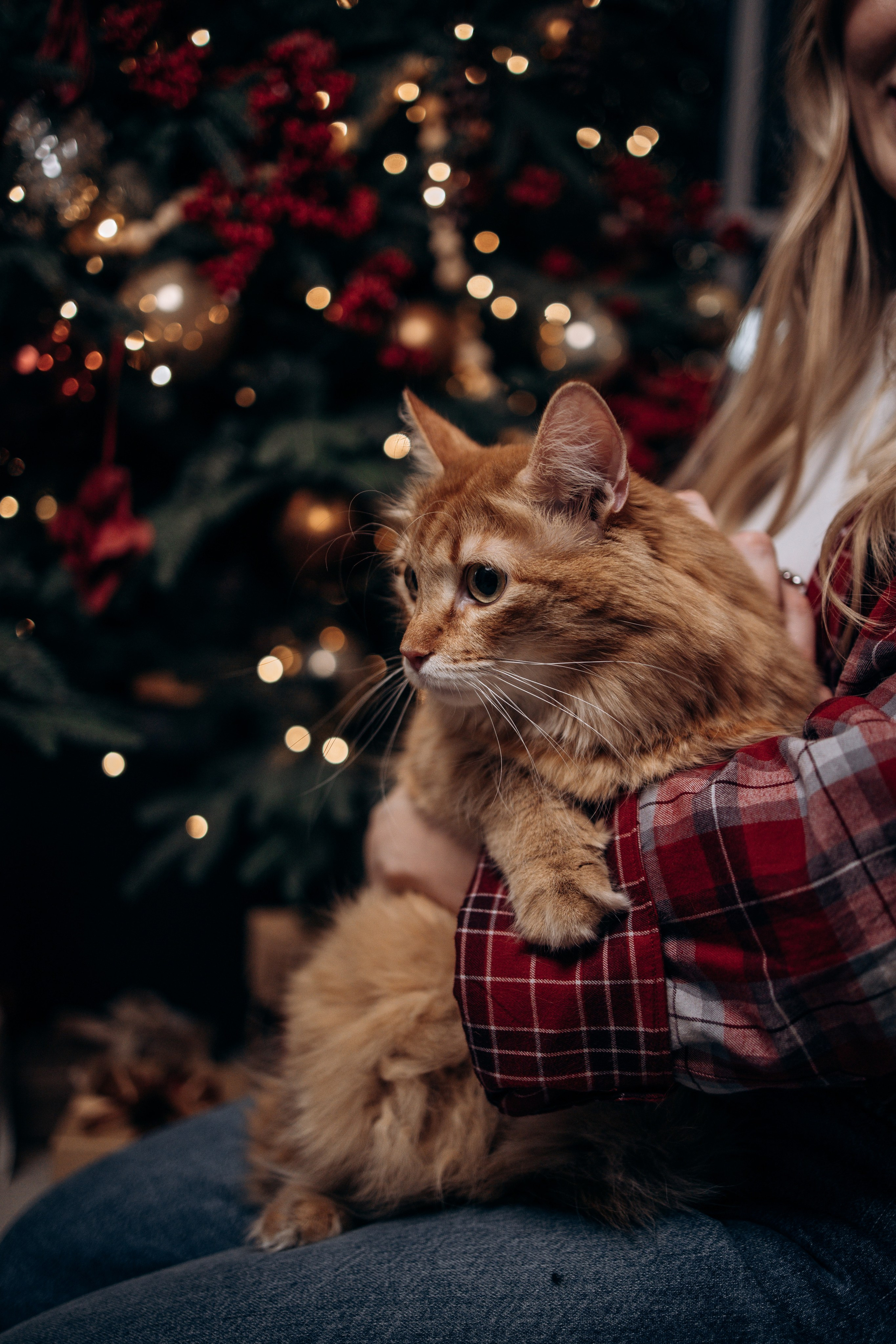 Эля и Франц. Фотограф — Анималист | Санкт-Петербург