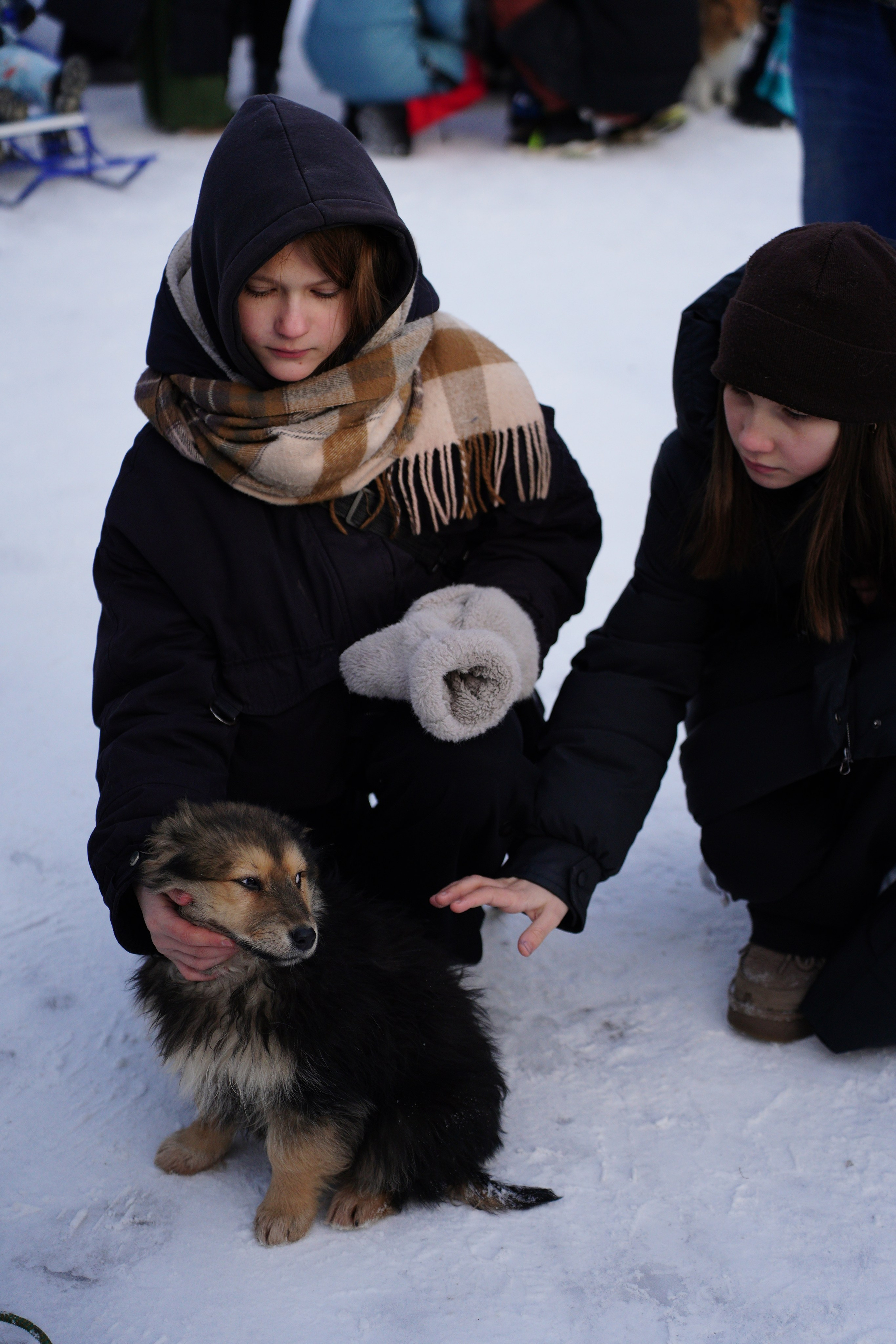 Благотворительная Акция «Ищу Человека». Pupov.png