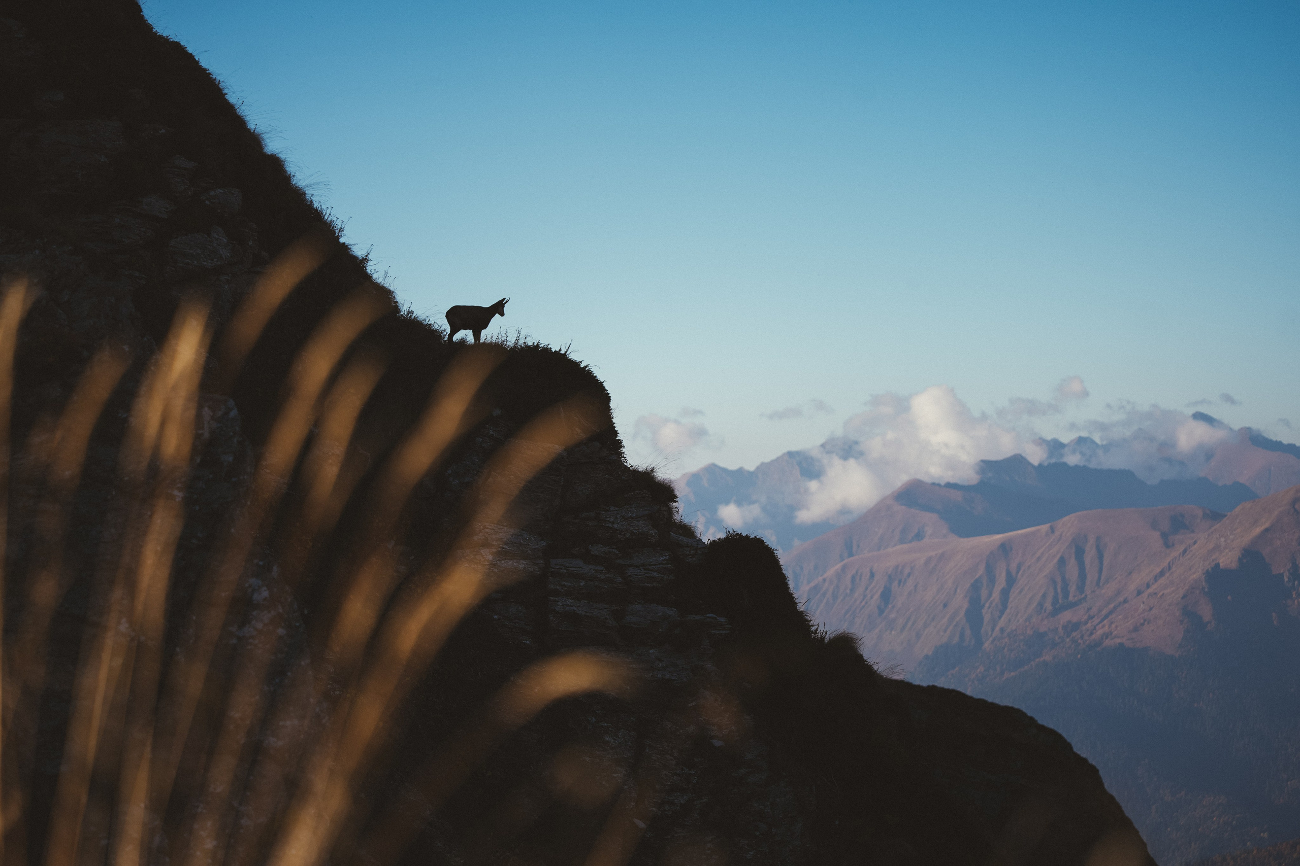 Роза Пик, тропа Турья ✽ Октябрь. Репортажный фотограф | Роза Хутор Красная Поляна Сочи Сириус