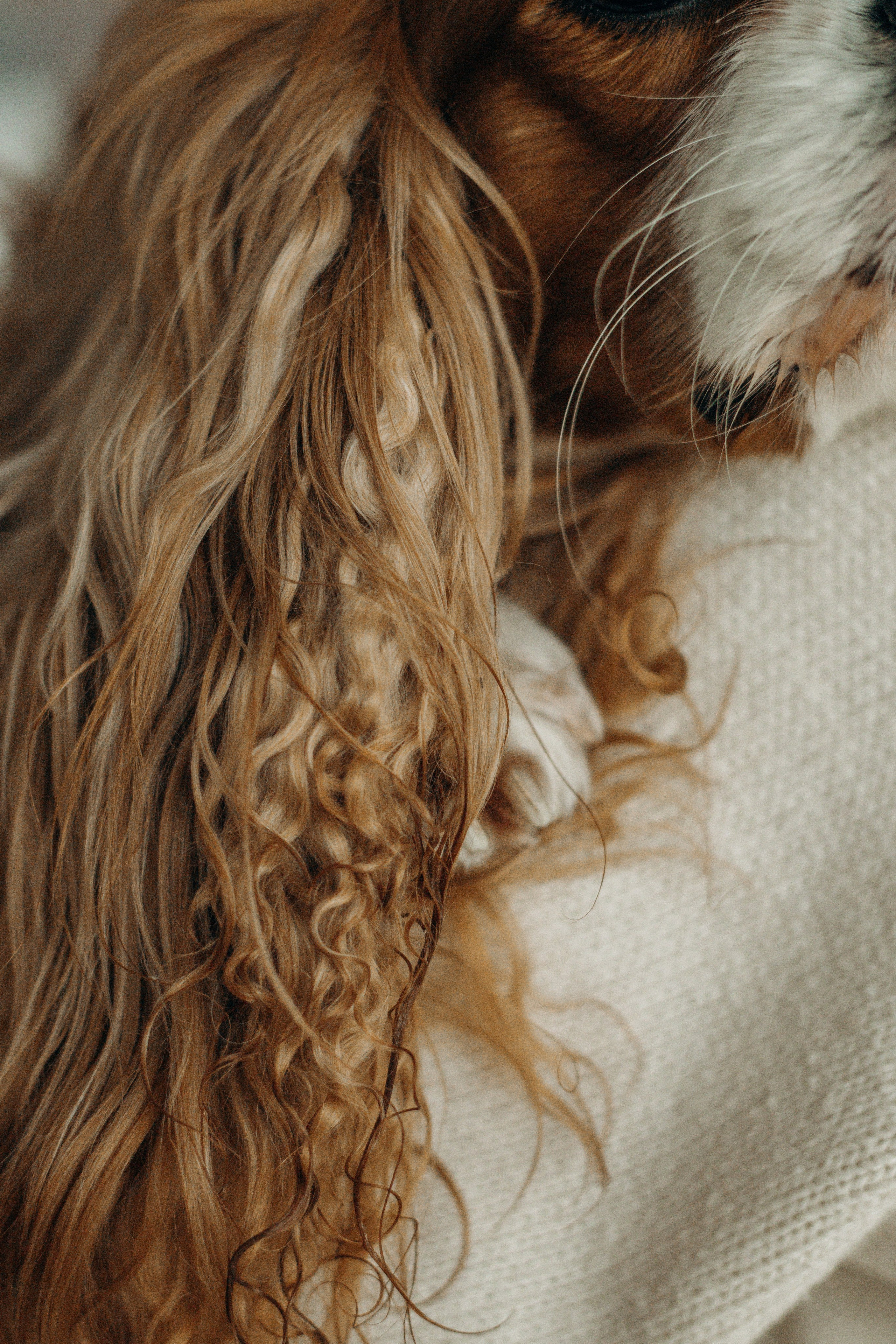 Надя и Лали. Фотограф-анималист в Санкт-Петербурге