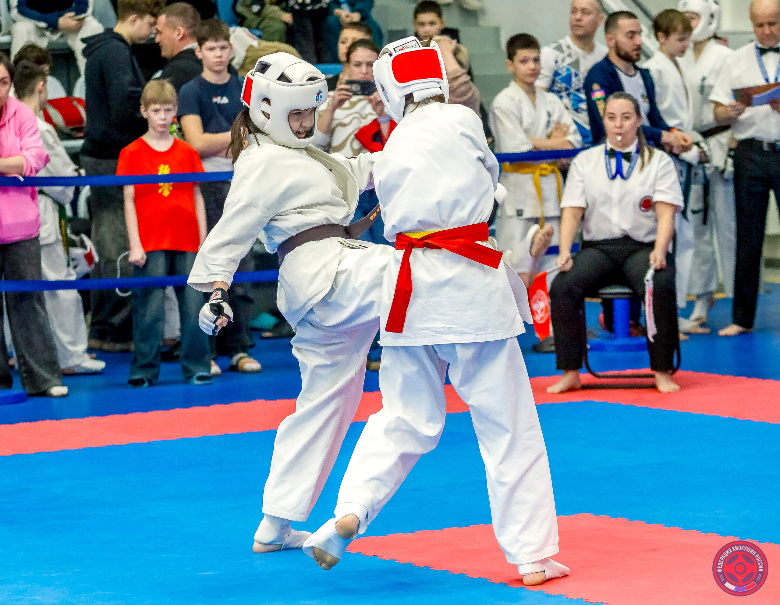 Международный турнир по киокушин «Открытый кубок Seiken». Репортажная съемка в Москве и области. Анималистика