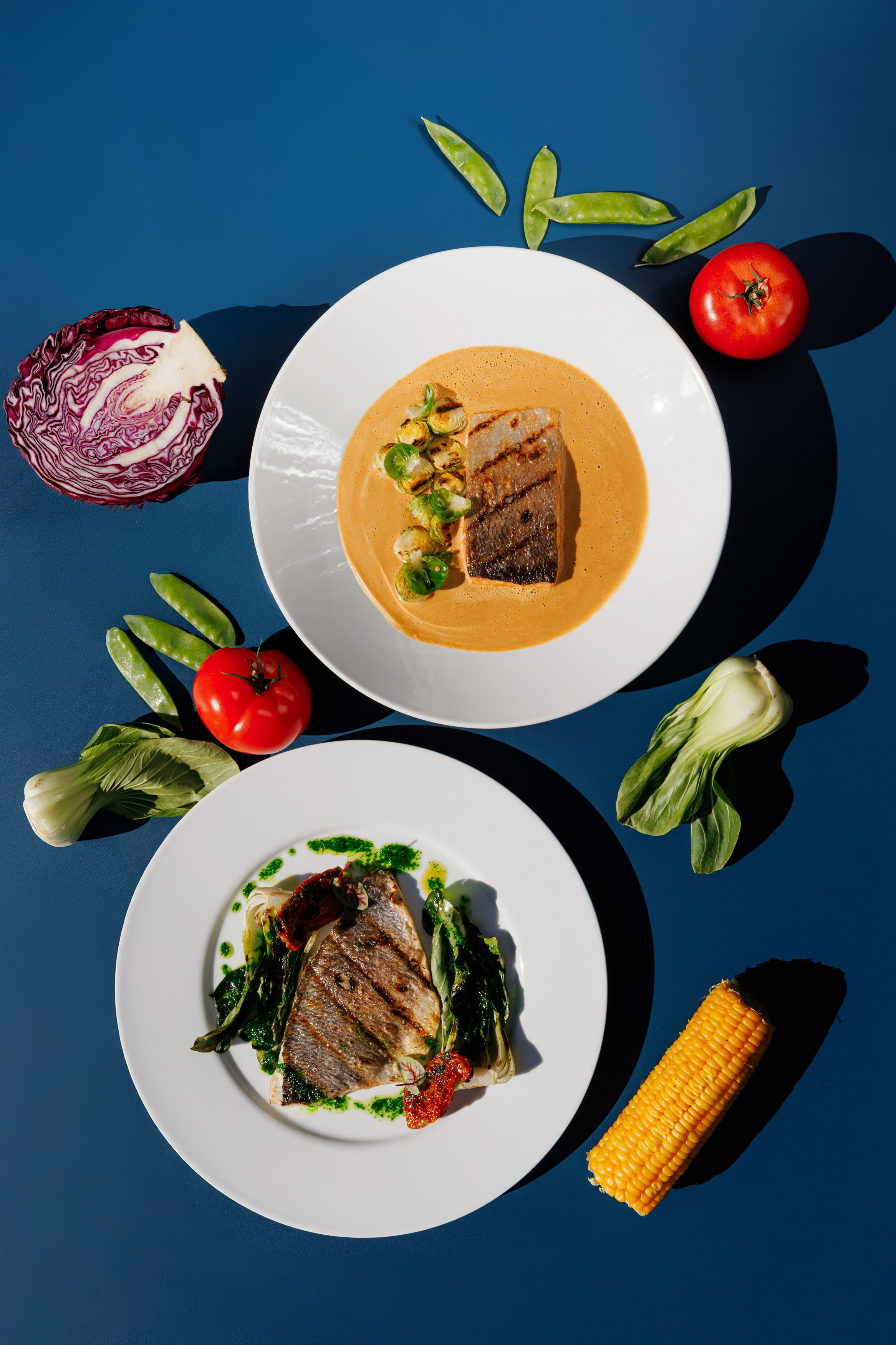 Muze Garden. Night2Day Санкт-Петербург