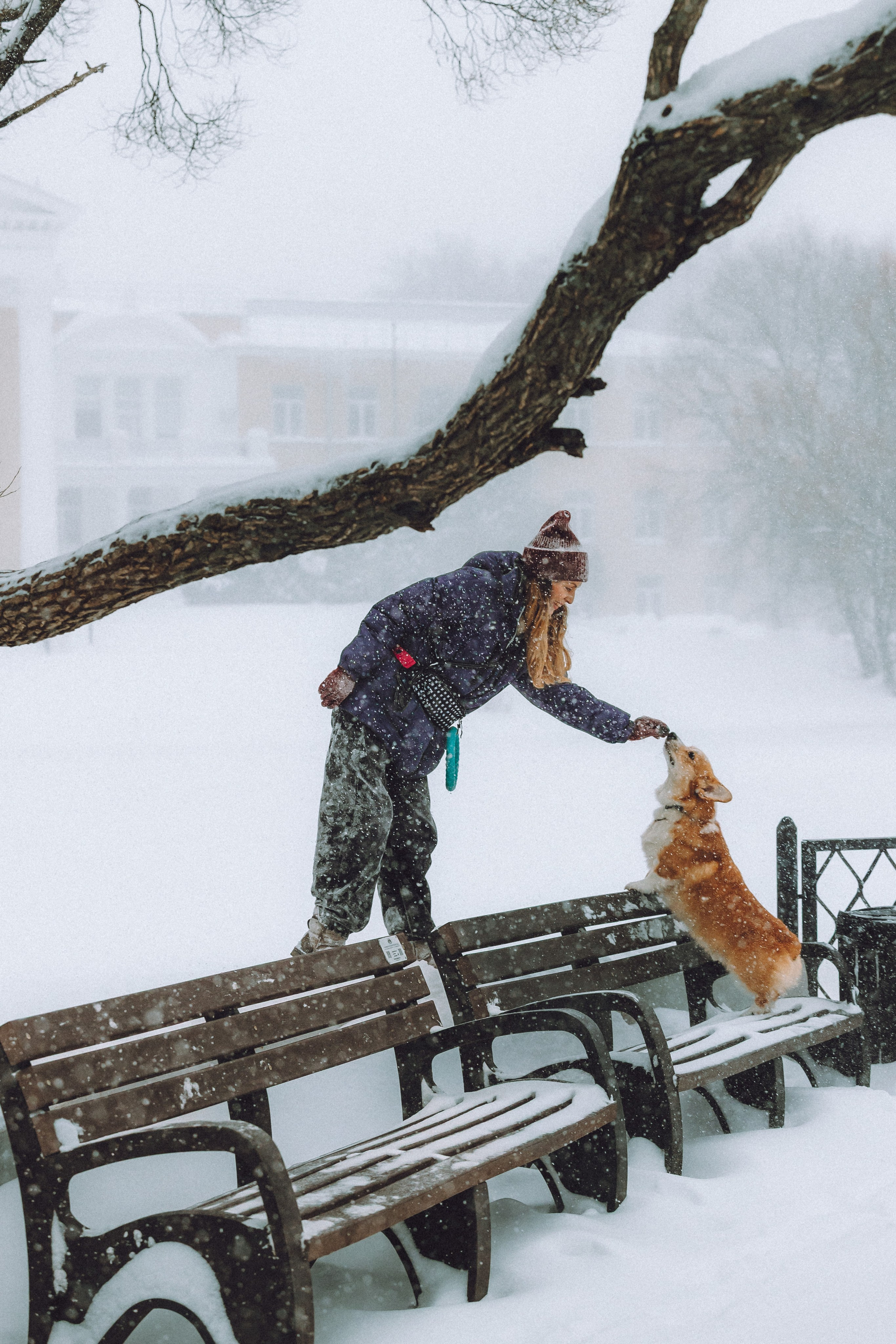 Юля и Юпитер