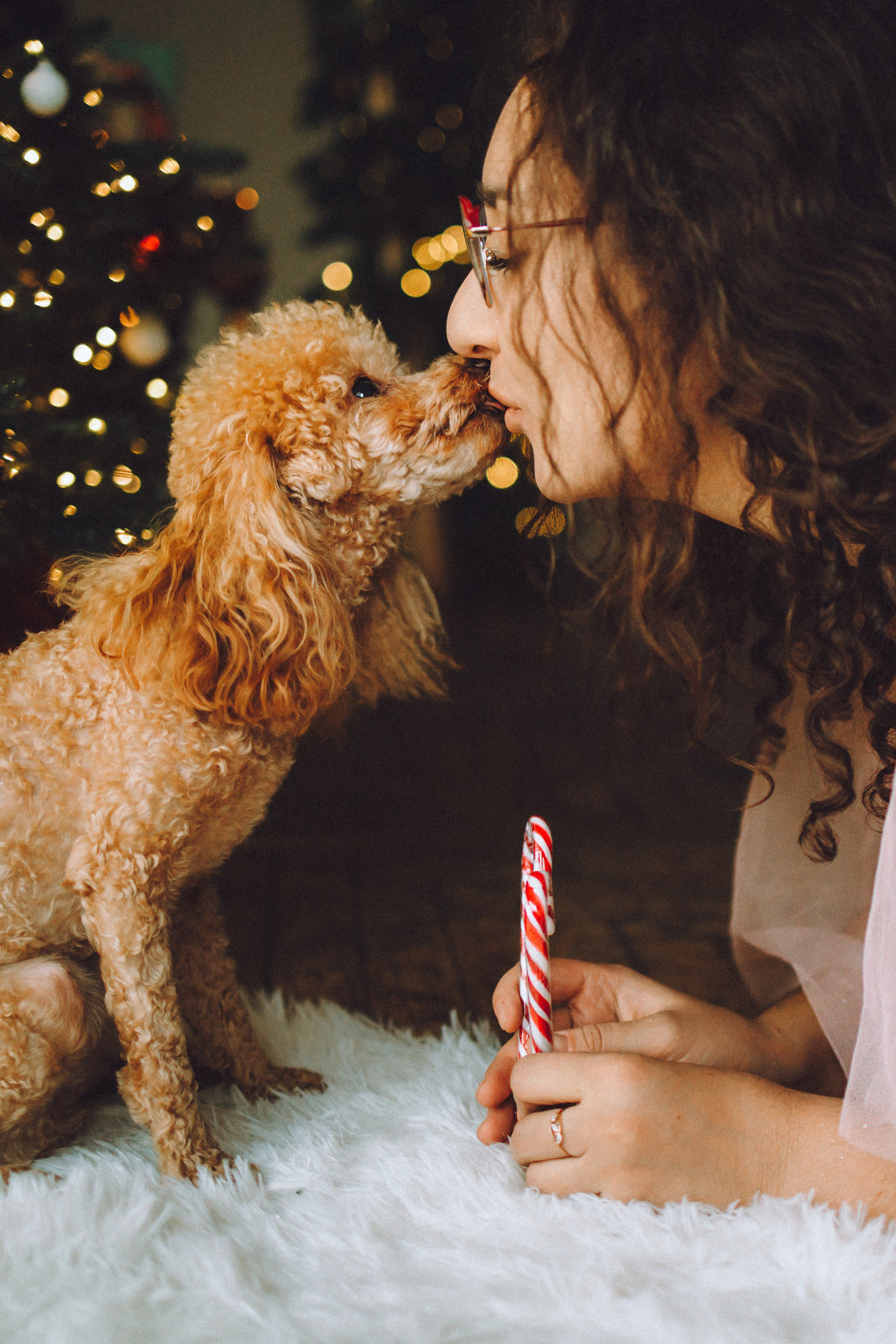 Джули, Шелли и их семья