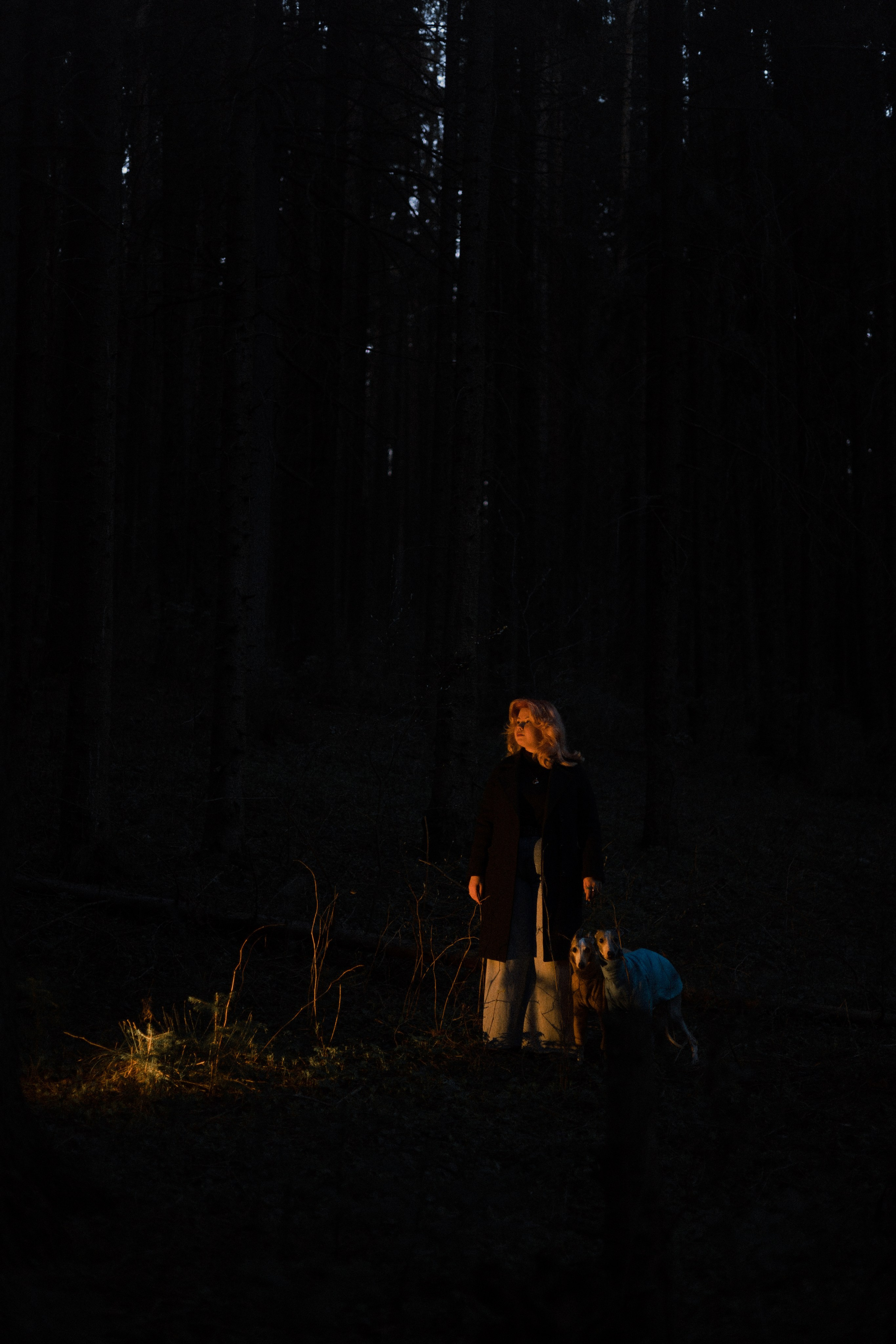 Вика, Джем и Белла. Фотограф-анималист Богданова Полина