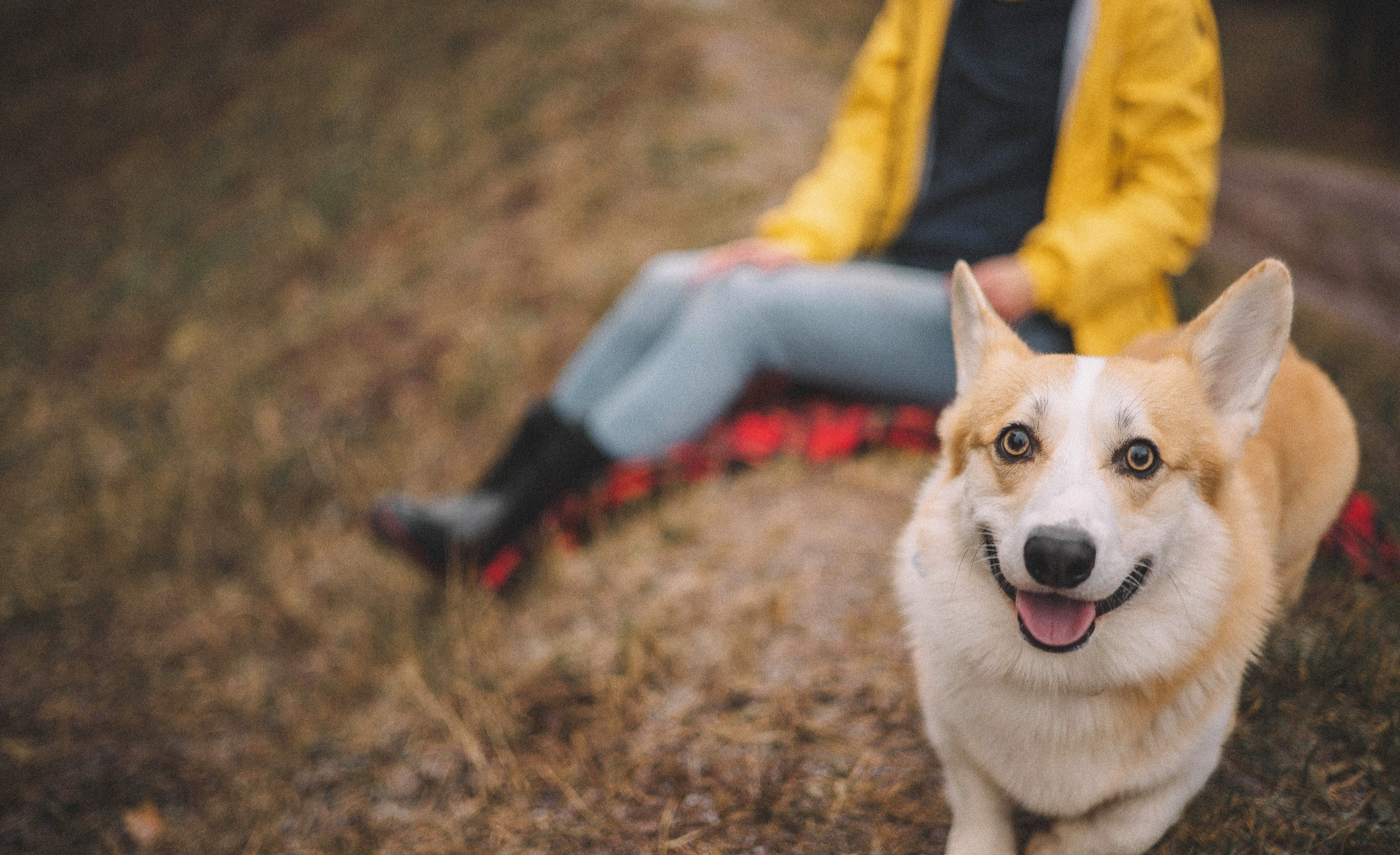 Юля и барри. Фотограф-анималист Богданова Полина