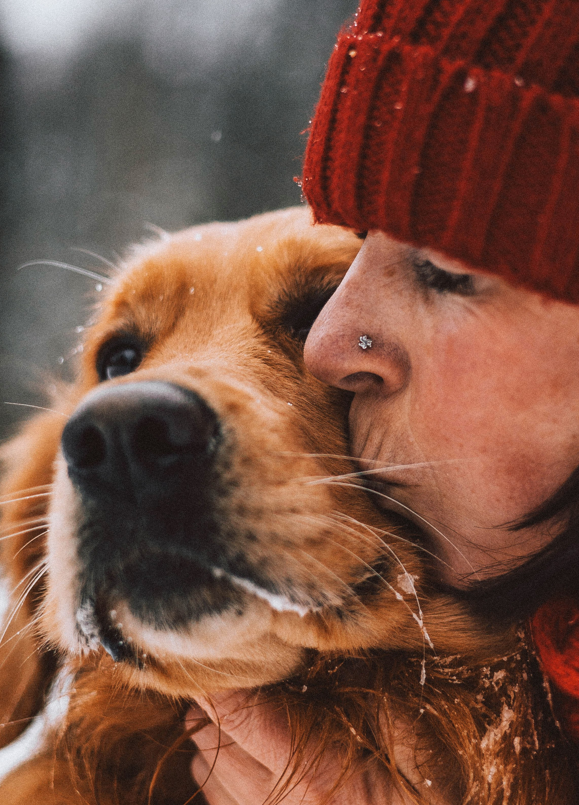 Саша, Юля, Грэй и Джой. Фотограф-анималист Богданова Полина