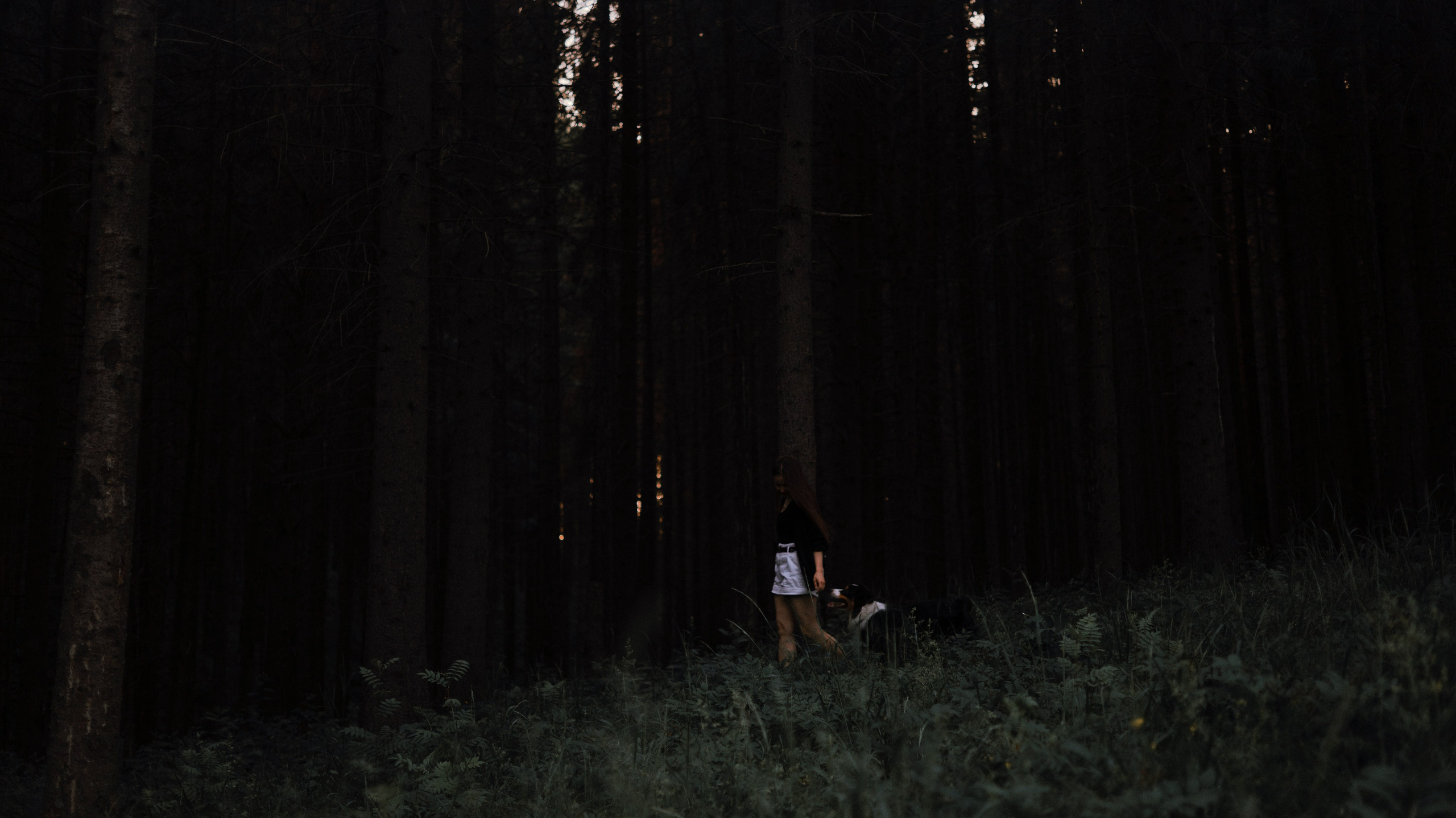 Яна и Уга. Фотограф-анималист Богданова Полина