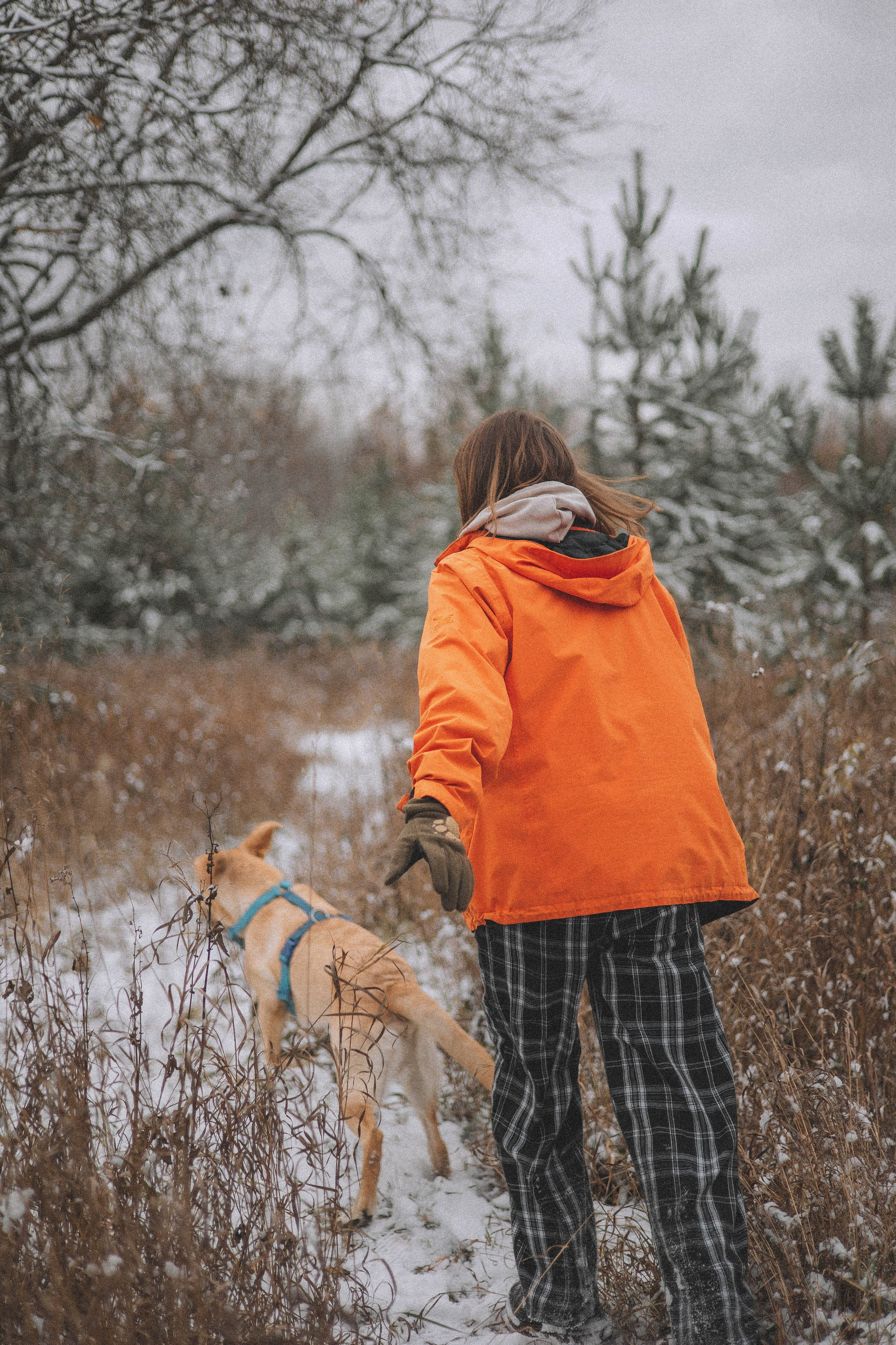 Маргарита и Варди. Фотограф-анималист Богданова Полина