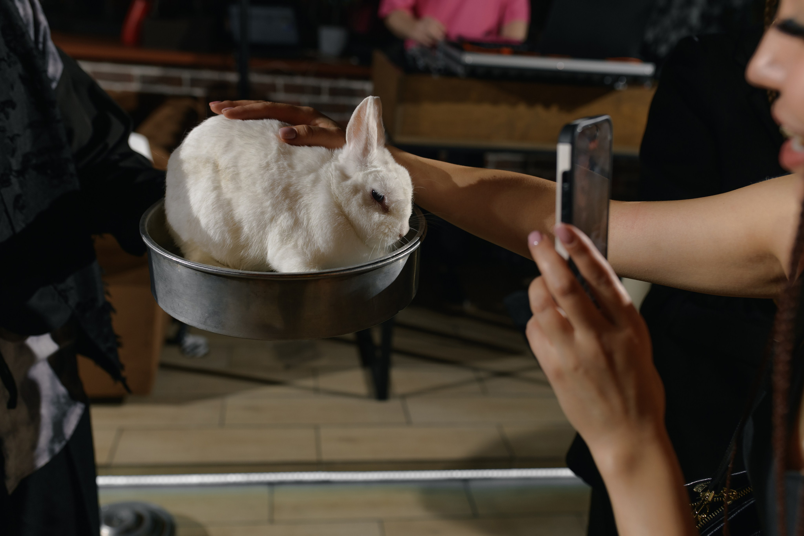 Beauty-вечеринка 2.0. Свадебный фотограф Екатеринбург/Челябинск — Любовь Волохова