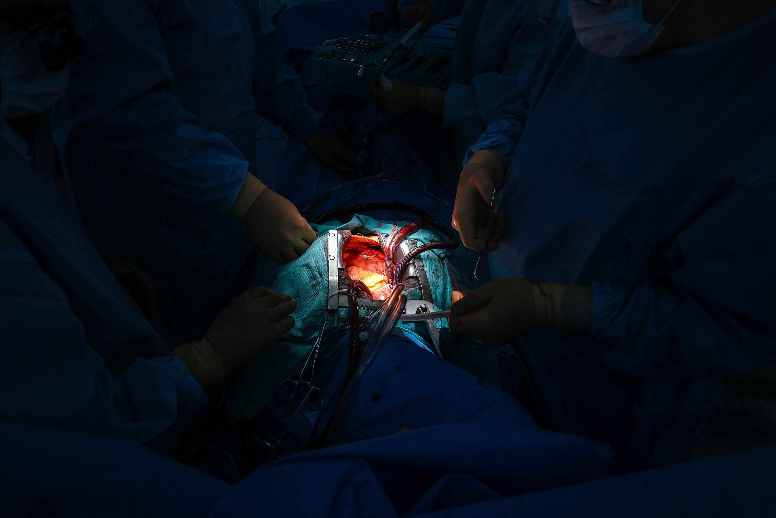 Репортажные съёмки. Фотограф Анна Селина