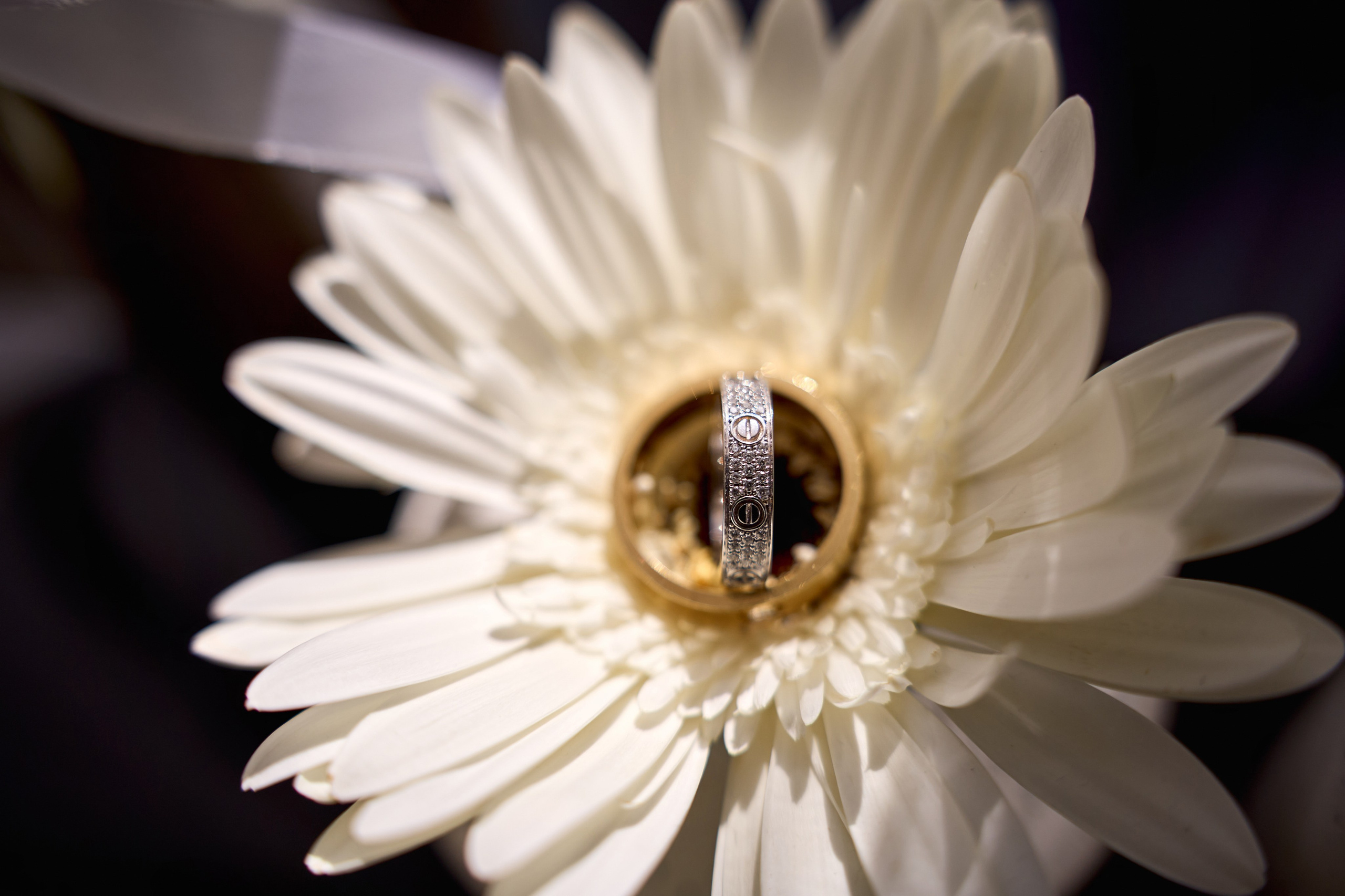 Свадьба с искусственным интеллектом в Усадьбе фамилии от ТВИНС СТУДИО лучших фотографов Краснодара. ТВИНС СТУДИО — лучшие свадебные фотографы и видеографы в Краснодаре