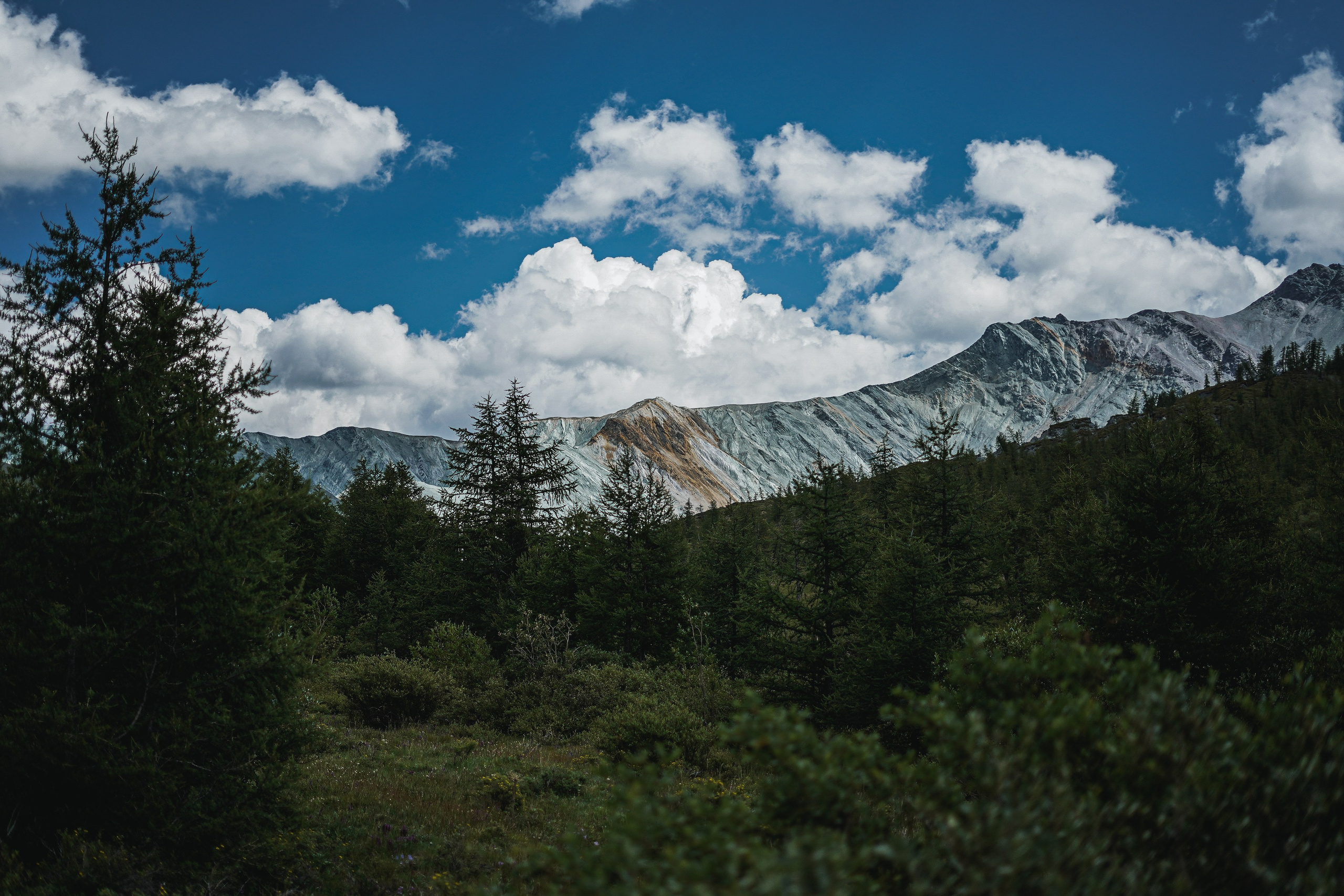 Алтай, поход к Белухе 2023. Фотограф Ольга Пучкова