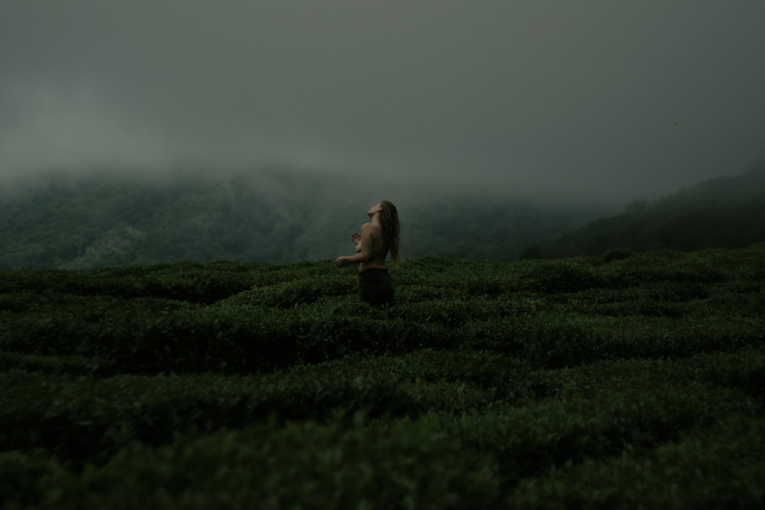 Khosta. Фотограф Настя Лев