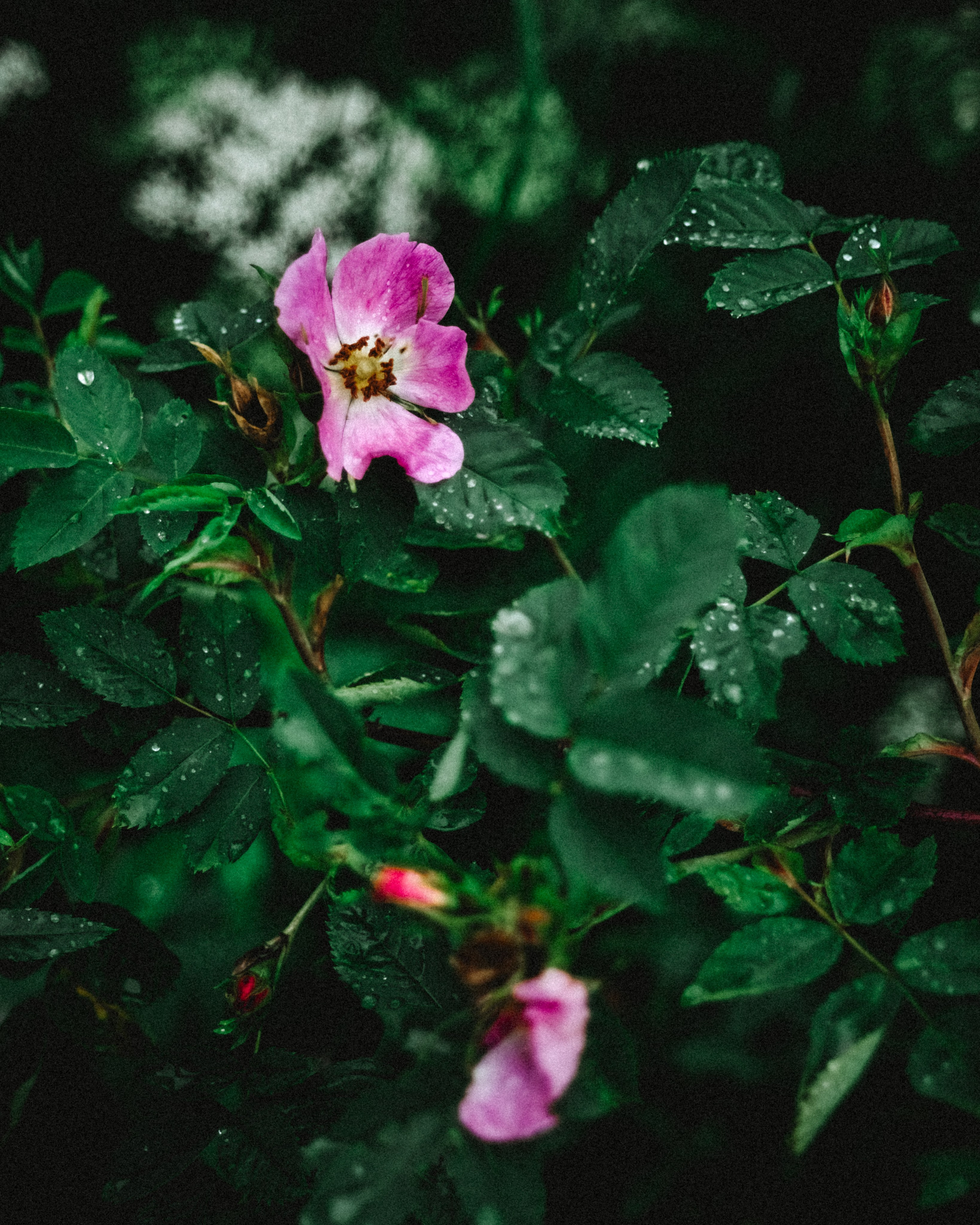 Городская съемка. Кутнов Владислав | Портретная и городская фотосессии | Санкт-Петербург
