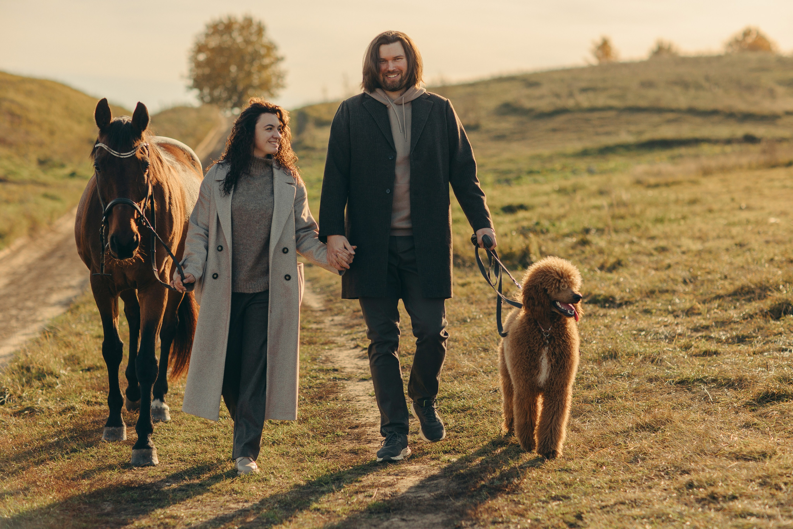 Наши пушистые дети. Главная