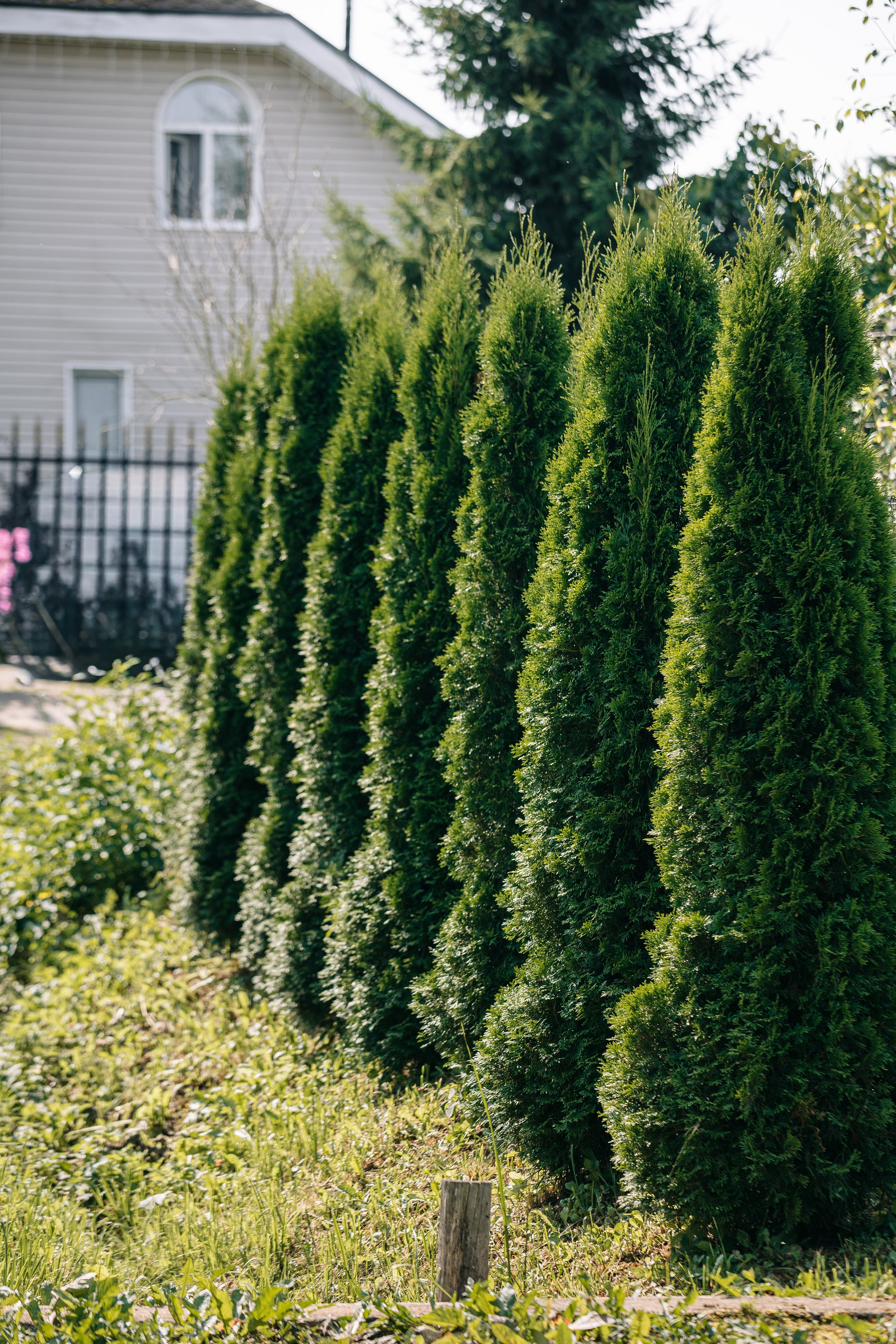 Ландшафтный дизайн. Главная