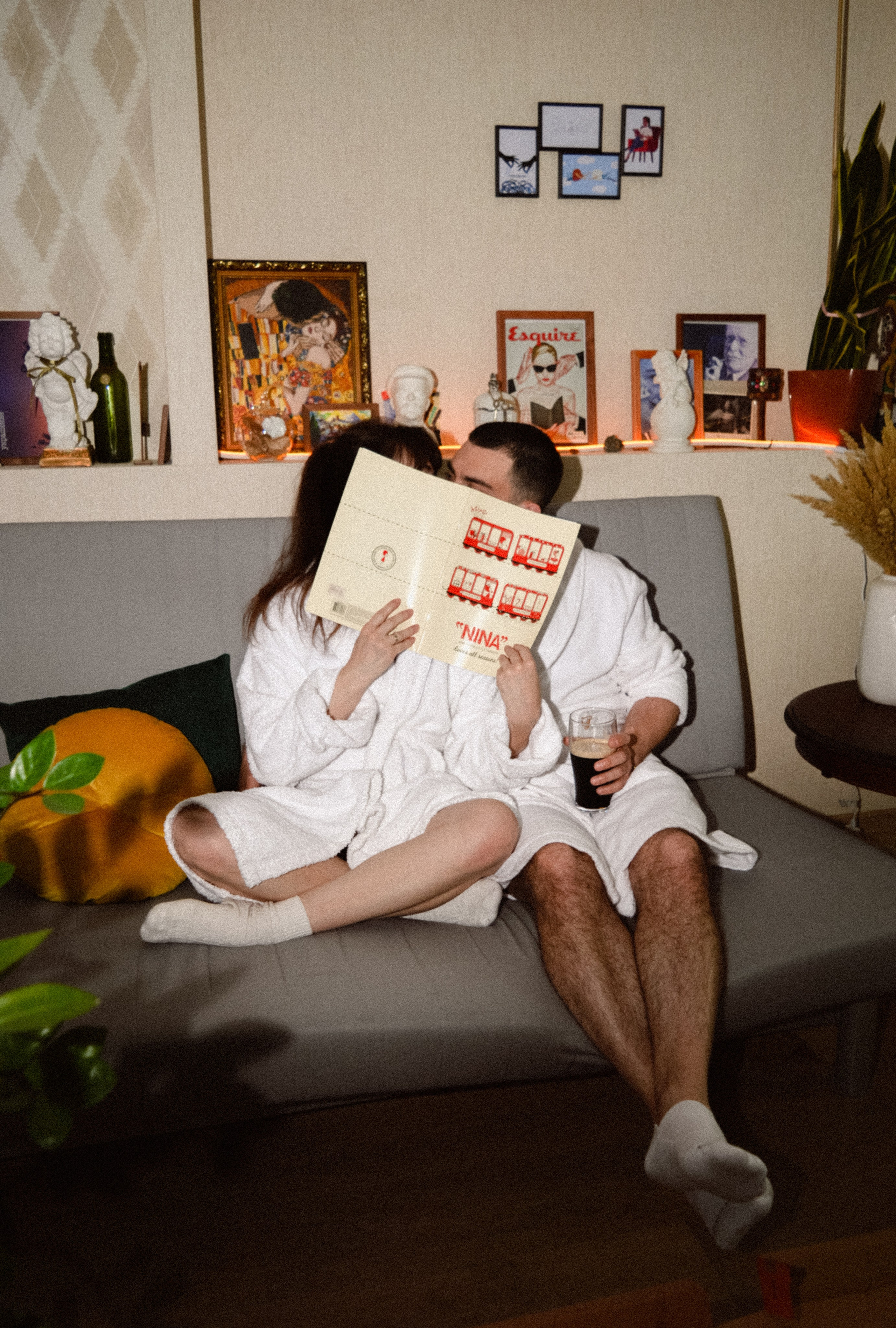 Домашняя история. Meryfotoidea