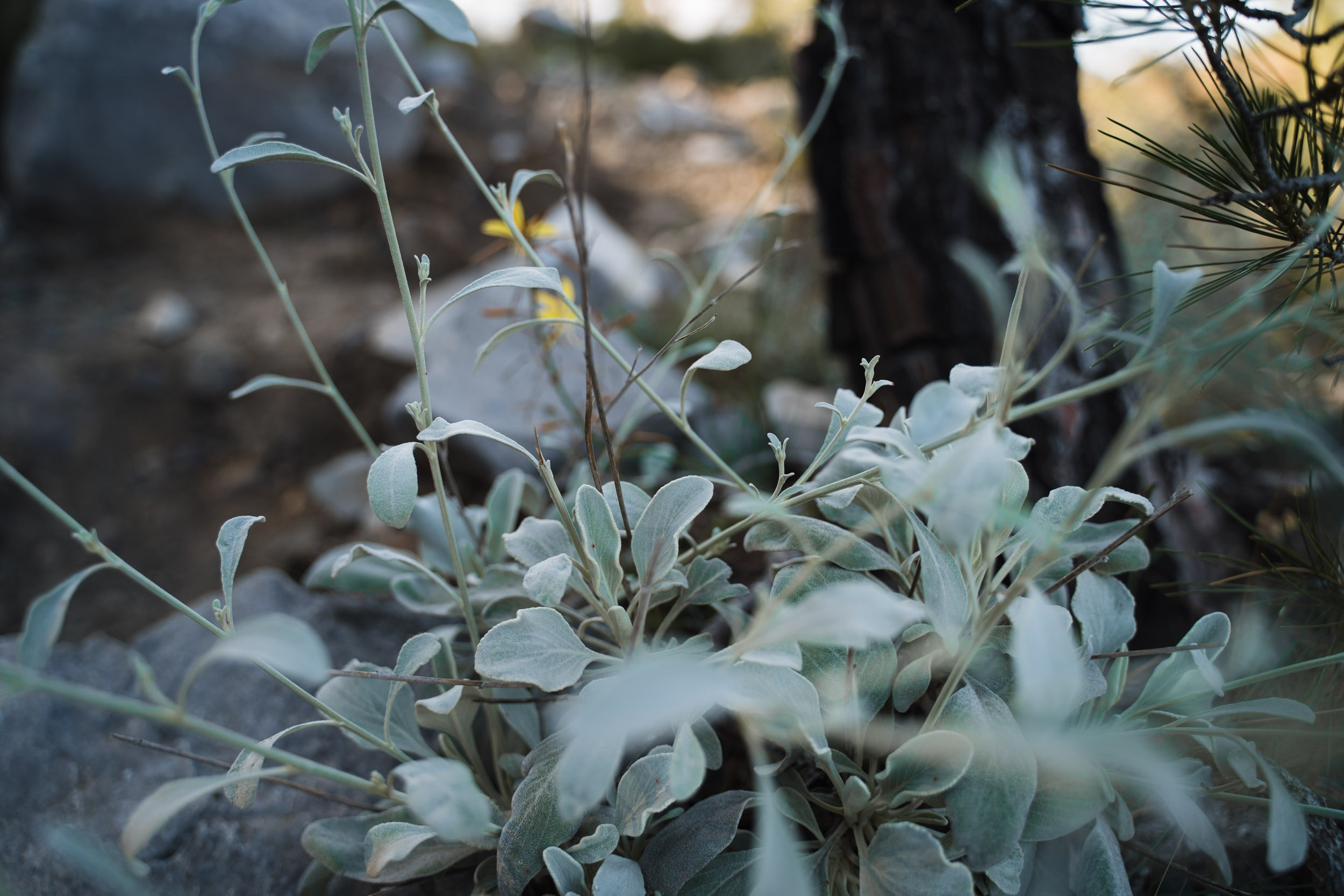 Турция. Восточная Ликийская тропа. Фотограф в поход и восхождение на Эльбрус Игорь Косарев