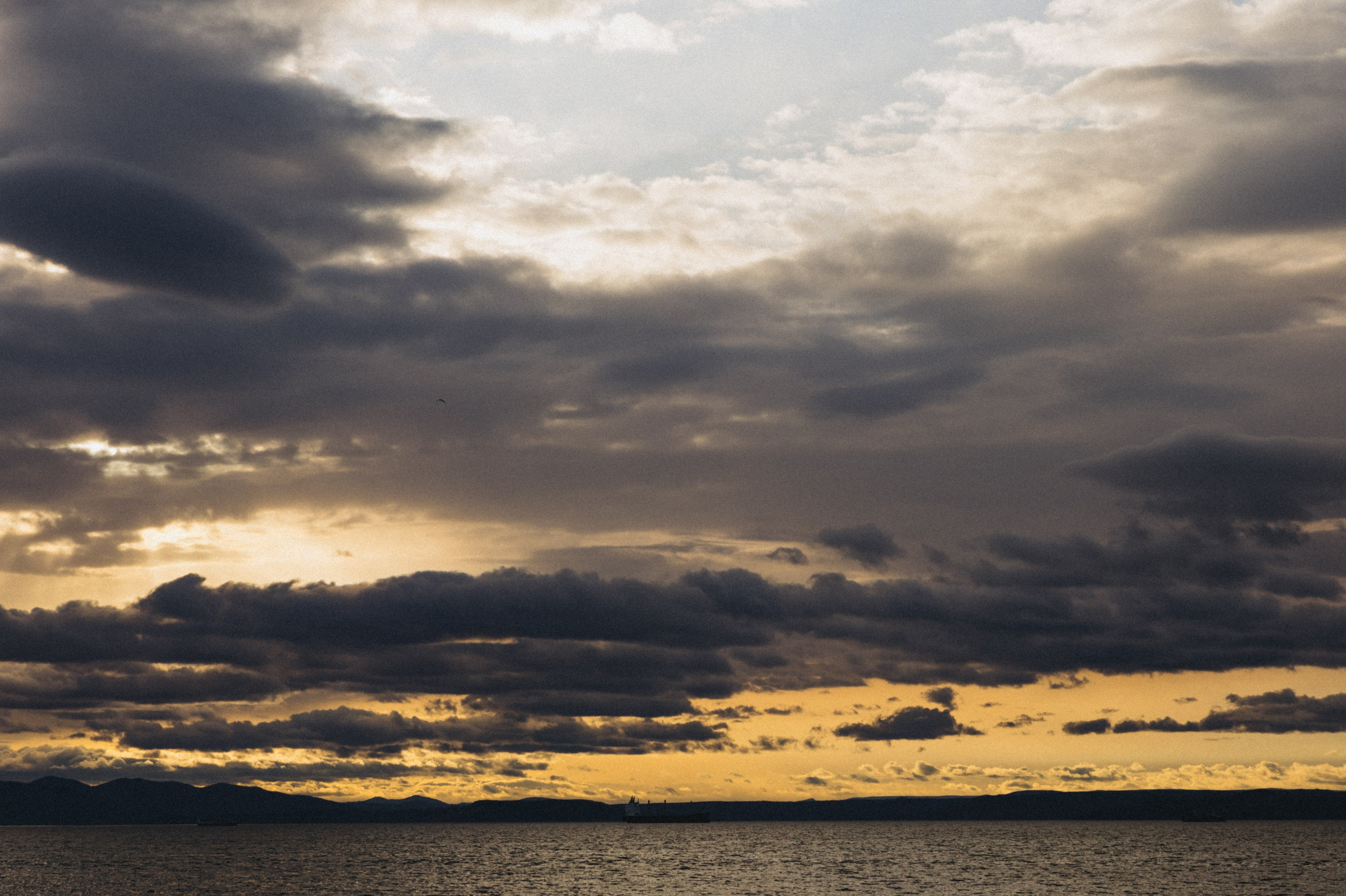 ТАКАЯ ЛЮБОВЬ. Wedding and family photographer in Vladivostok Anton Blokhin