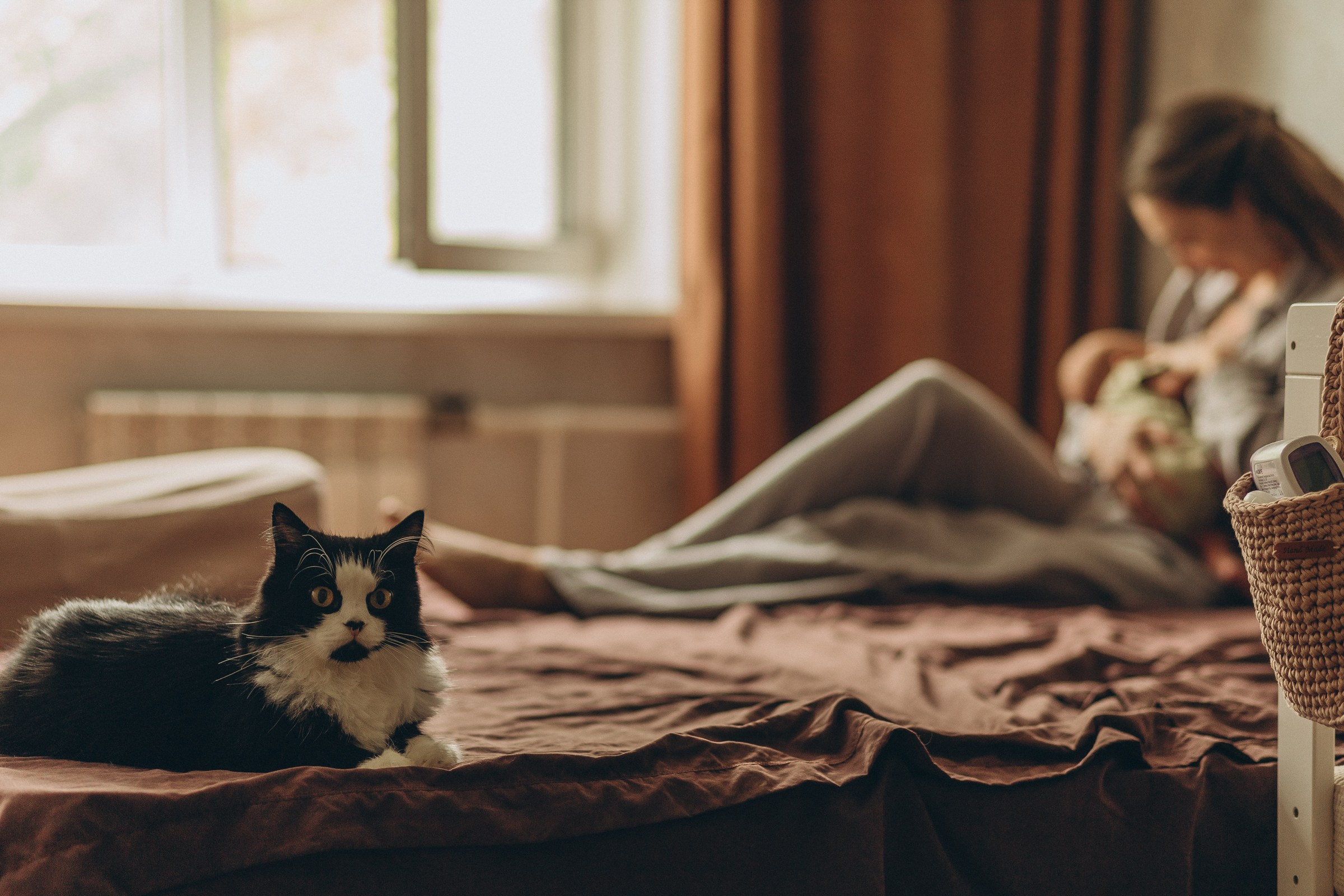 Нью борн домашняя. Семейный фотограф в Волгодонске Краченцева Анна