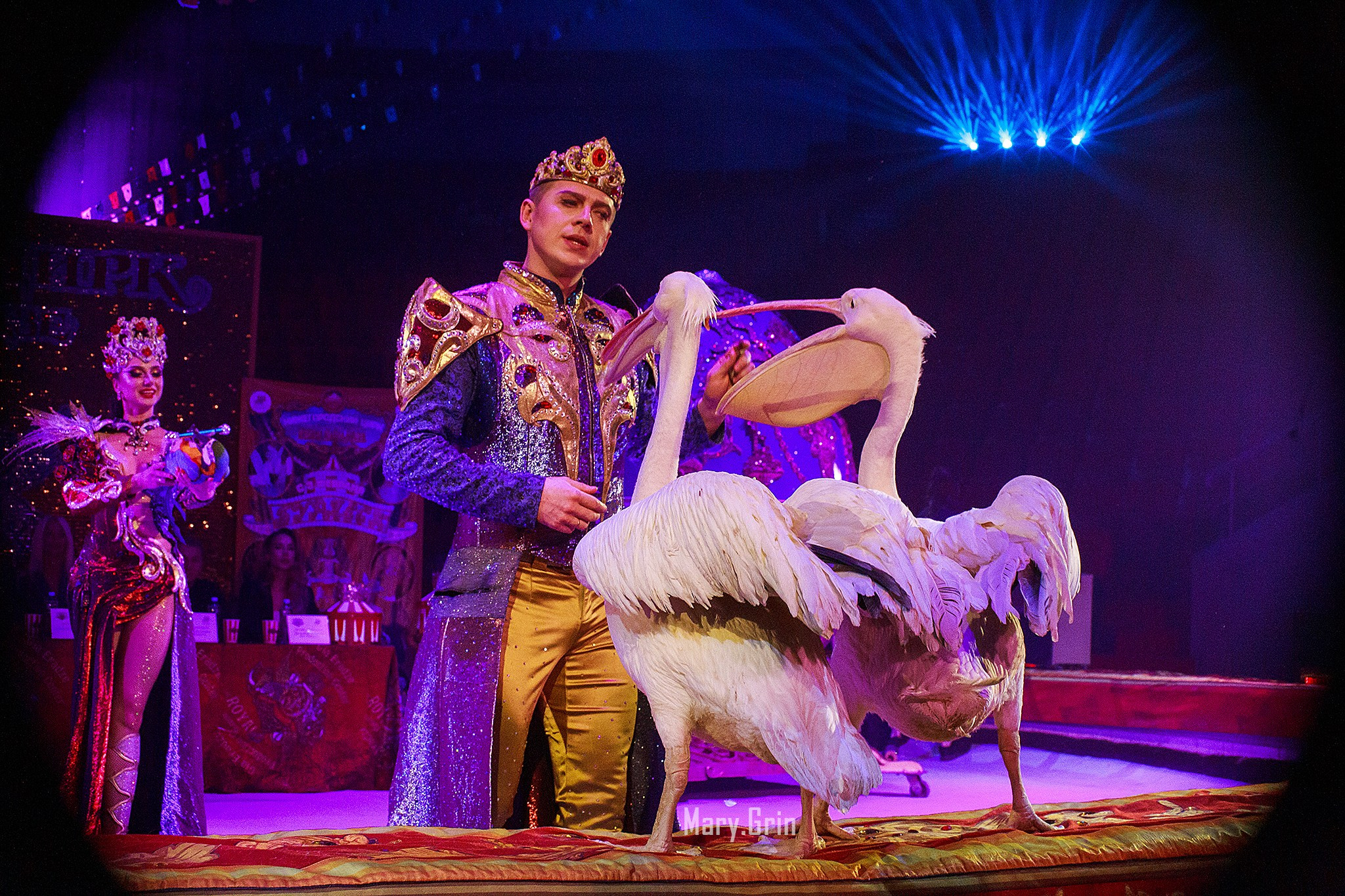 Цирк Гии Эрадзе. Детский и семейный фотограф, фотограф мероприятий Нижний Новгород