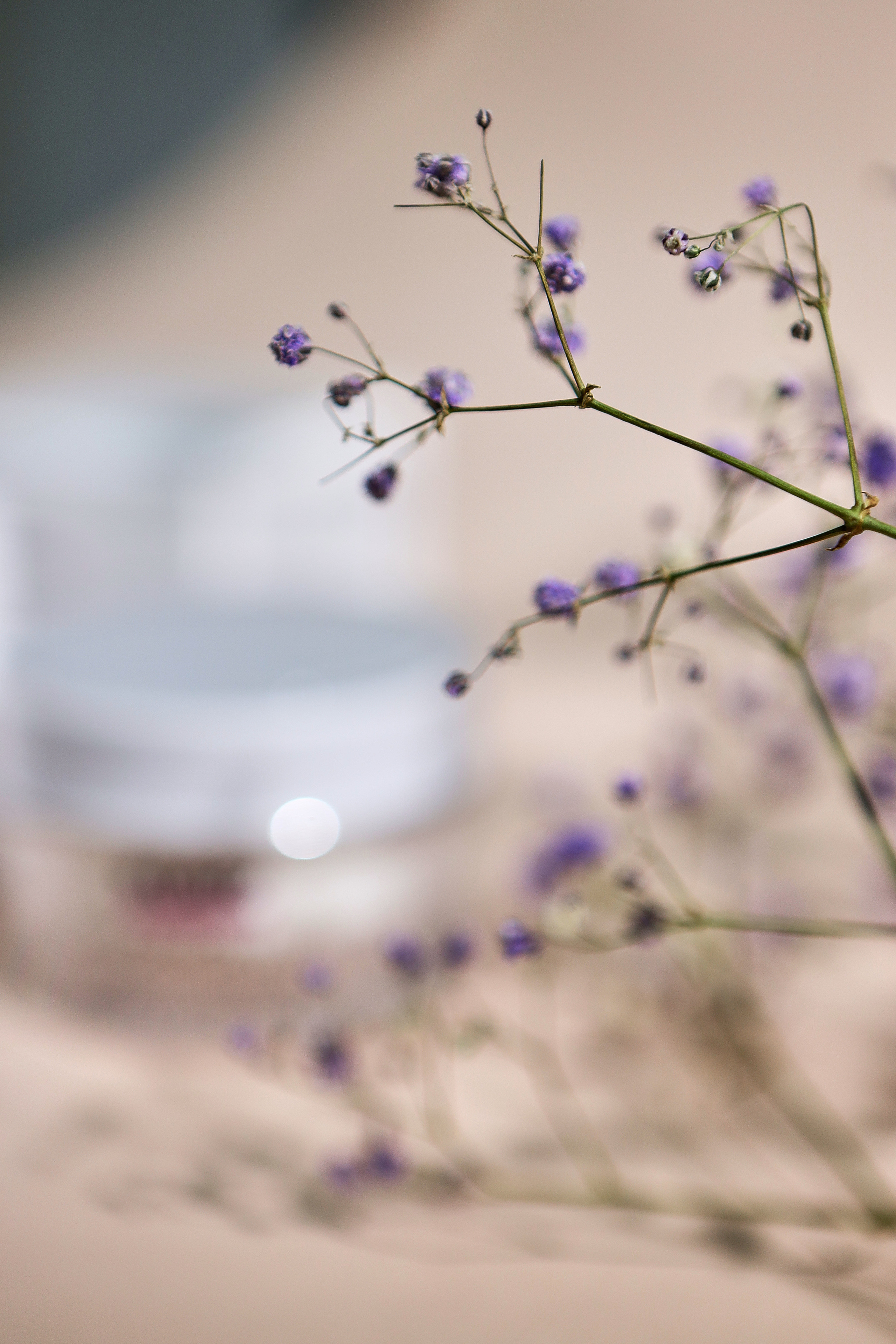 Екатерина. Косметолог. Фотограф Мария Лазакович — Минск