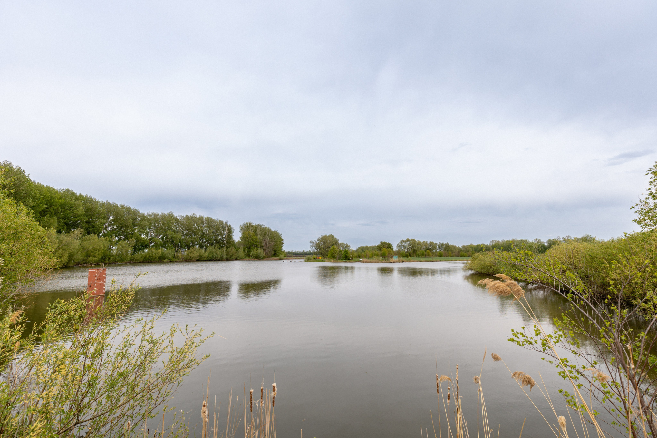 Приусадебный участок. Владислав Волков | Фотография и видеосъемка в Воронеже