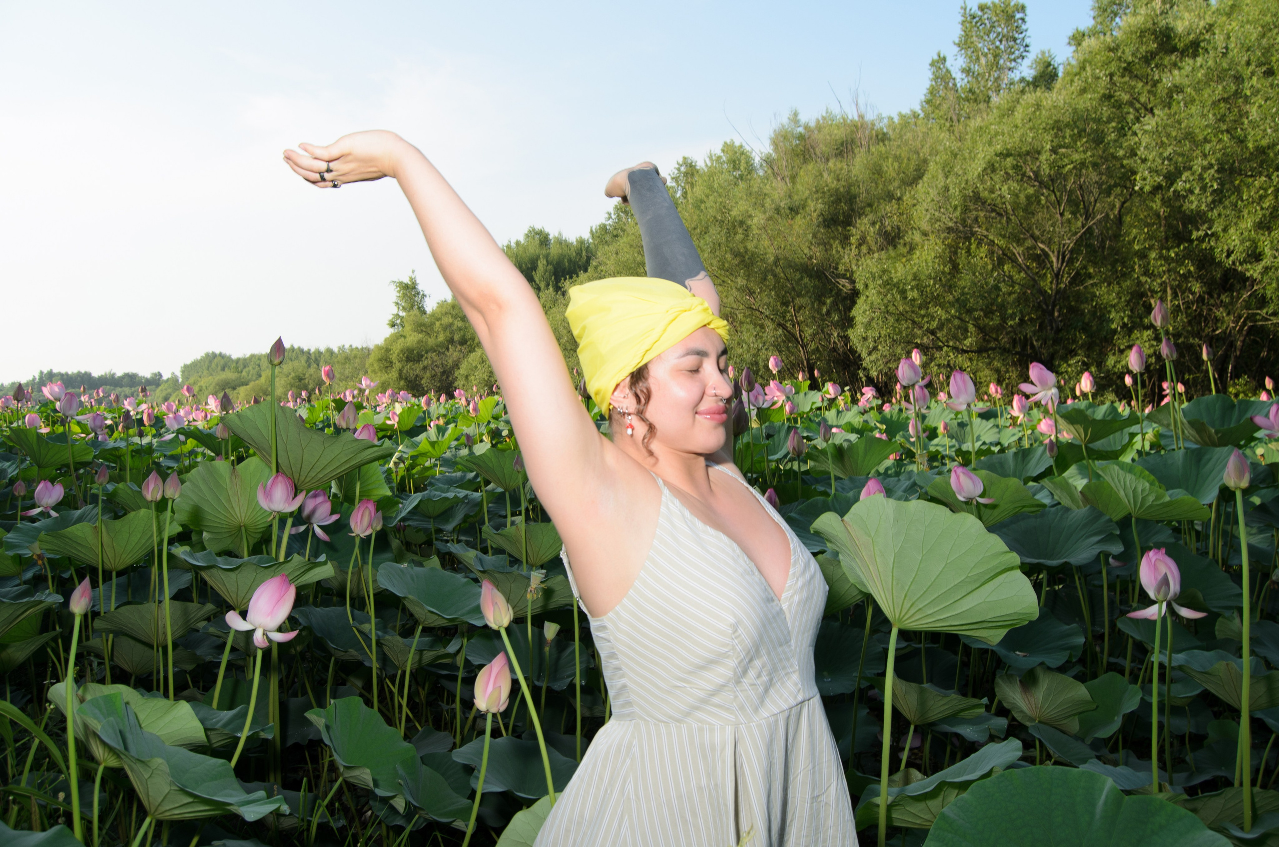 Лотосы. Колентеева Наталья/фотограф