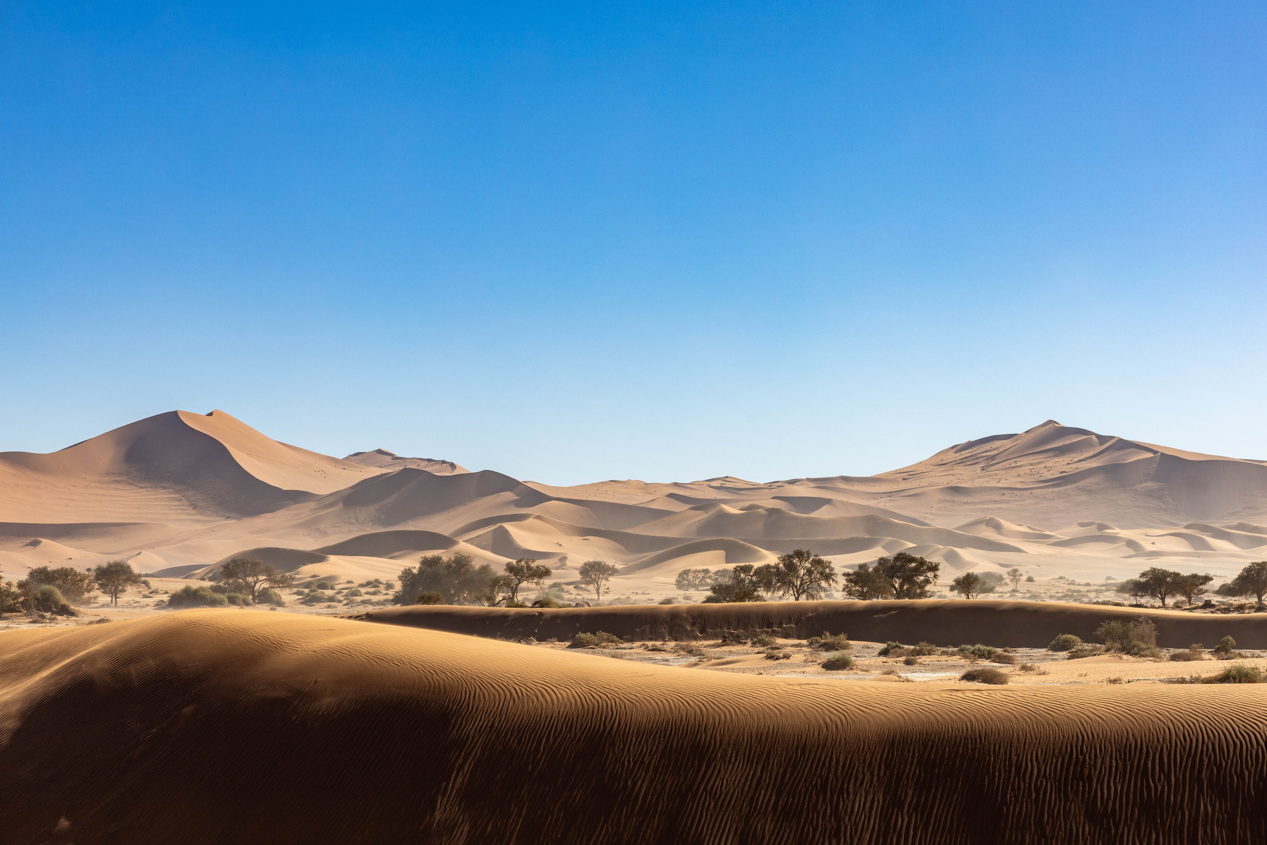 Южная Африка. B612