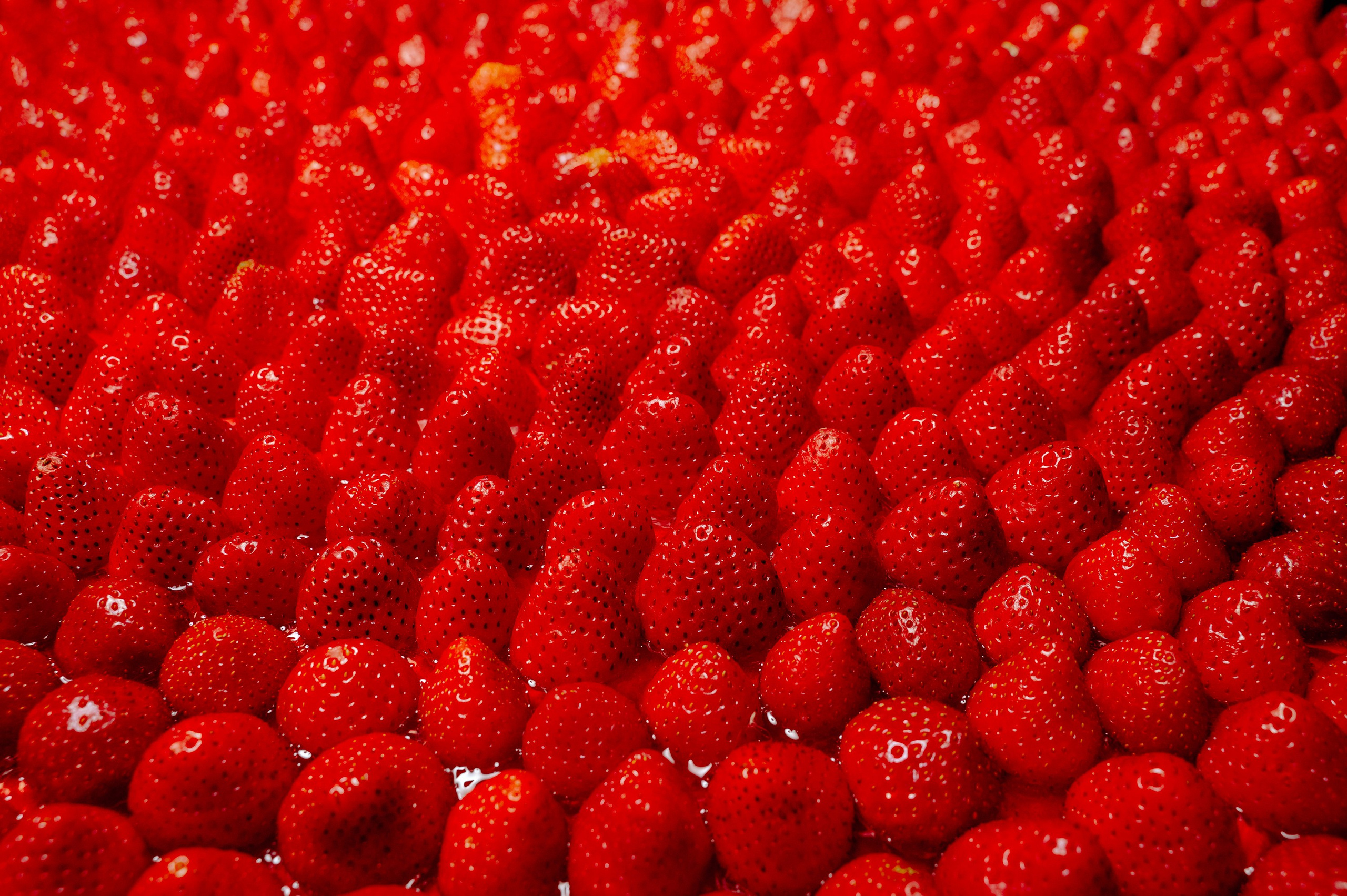 Helen_yes1 & Павел ⚡️ 2024. Фотограф Вито Бурмасов | Москва