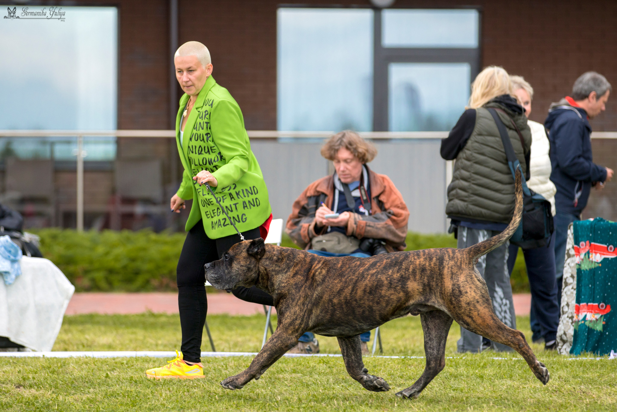 Переславль 9-10.09.2023. Фотограф-анималист Юлия Германика