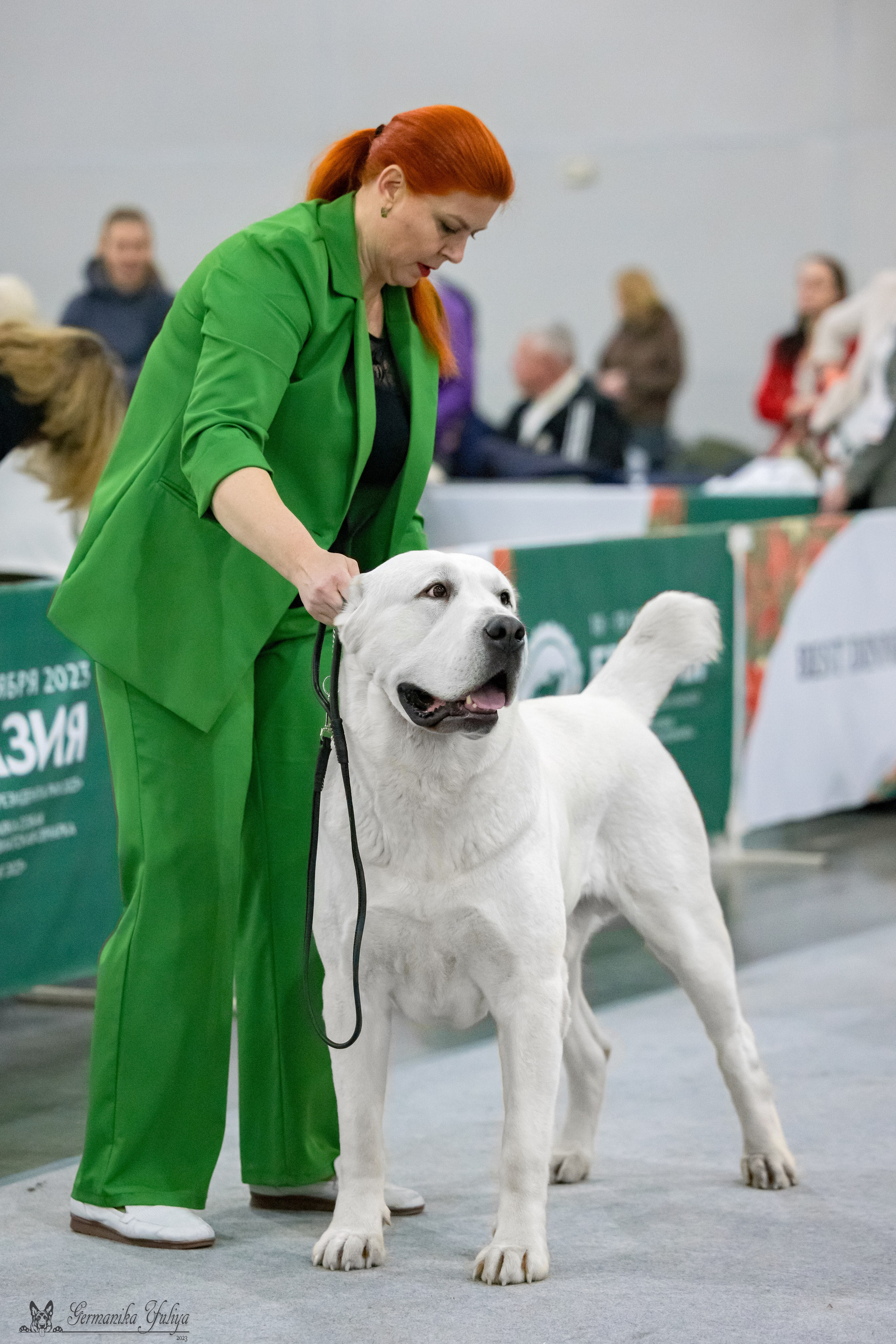 ЕВРАЗИЯ 18-19.11.2023. Фотограф-анималист Юлия Германика